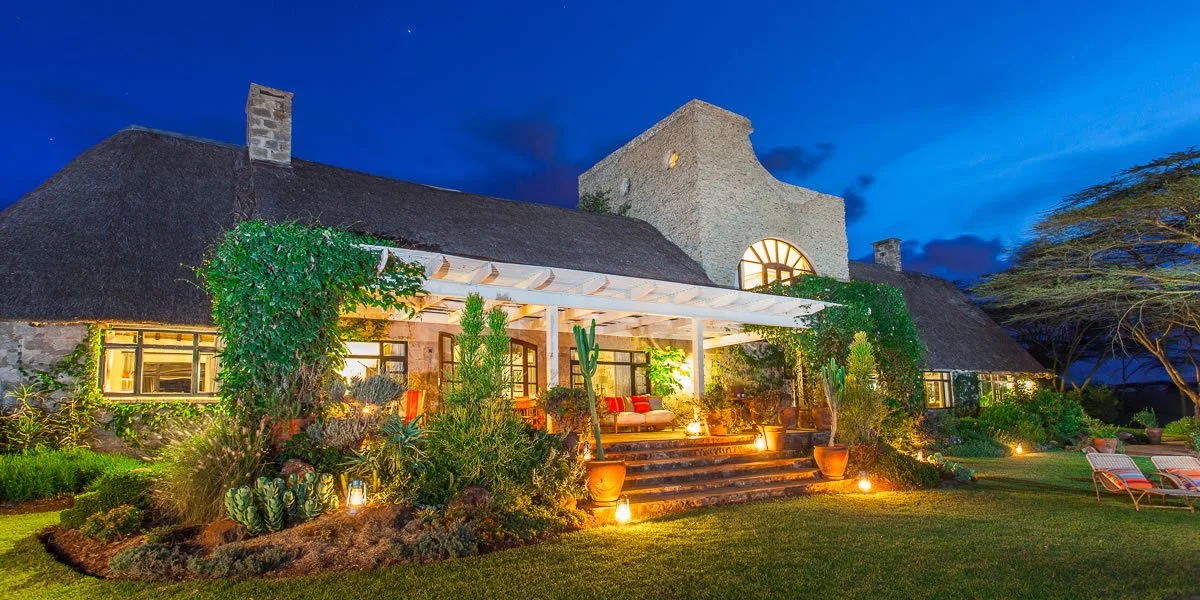 Nighttime view of a cozy house with a stone chimney, surrounded by lush garden with cactus and potted plants, illuminated by warm outdoor lights.