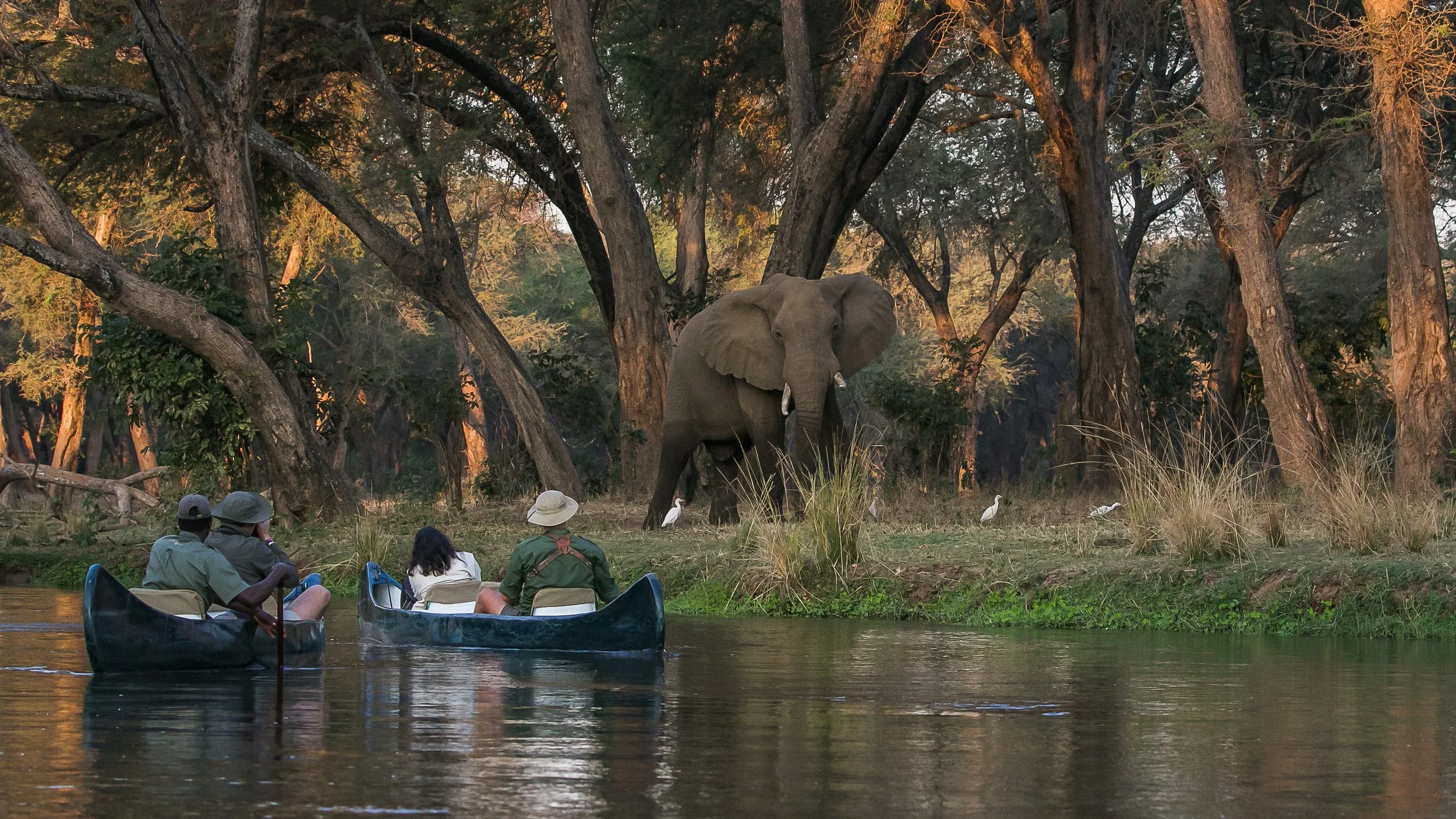 Canoe safari on the Lower Zambezi River in Zambia, drifting quietly past elephants on the shoreline for an intimate wildlife experience in the African wilderness.