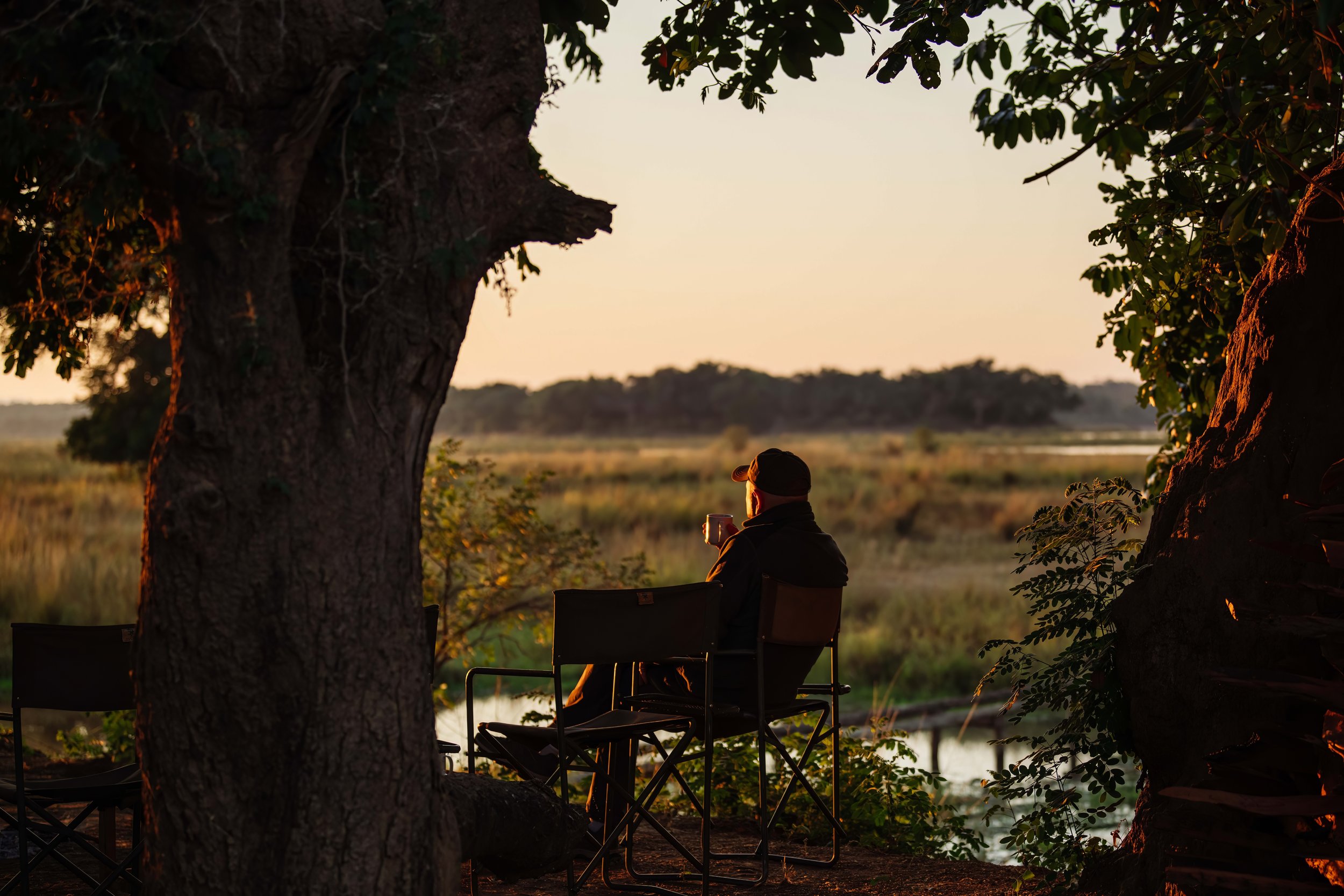 A person wearing a cap sitting on a chair outdoors at sunset, holding a mug, surrounded by trees and nature.