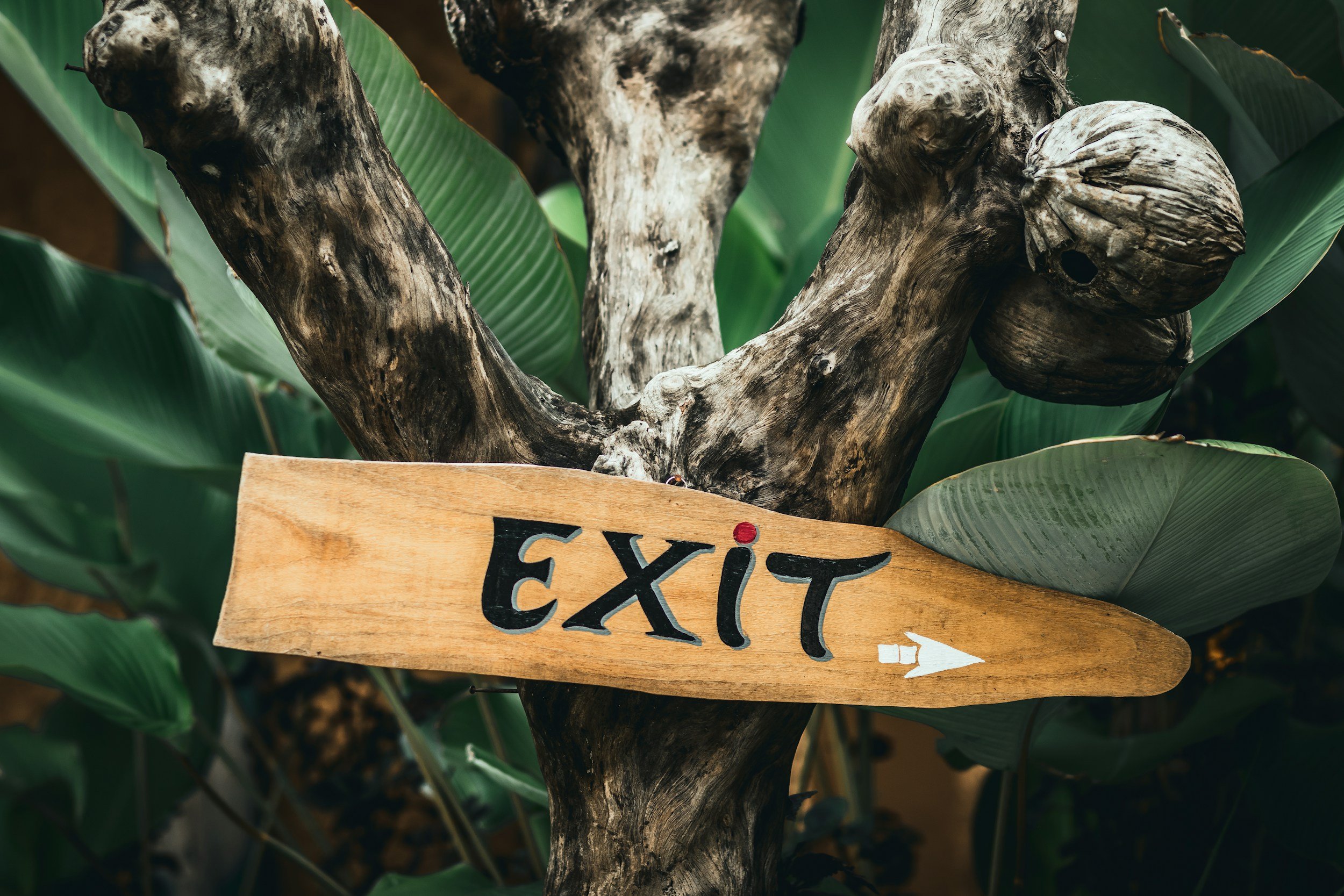 Exit charges