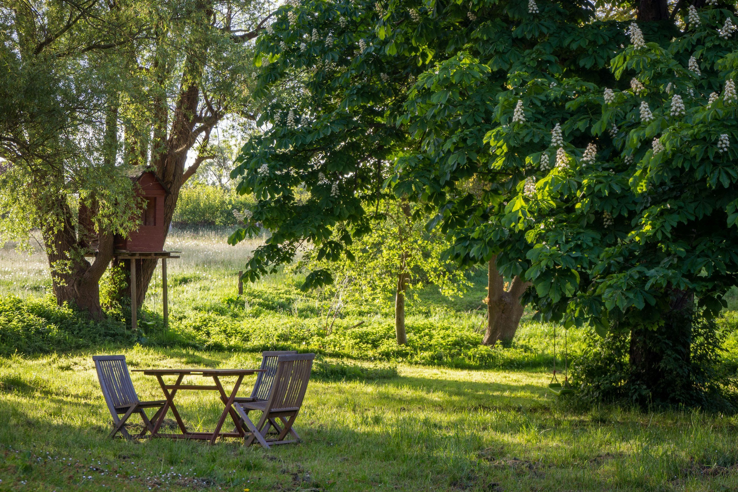 Selling part of your garden or land: 