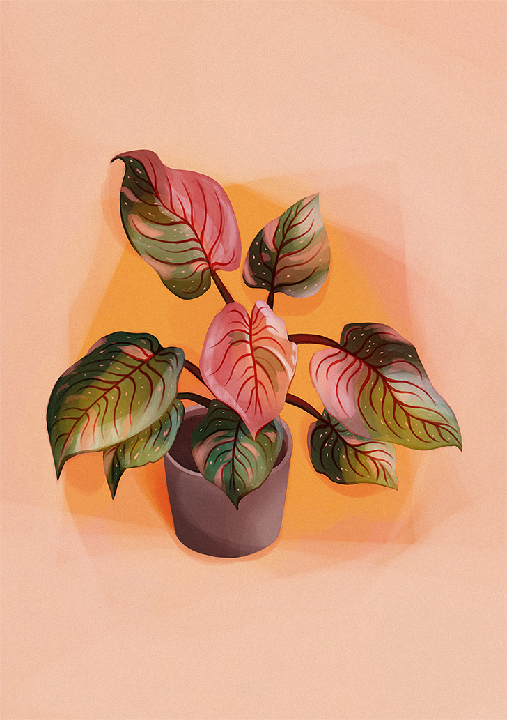 Plant.png