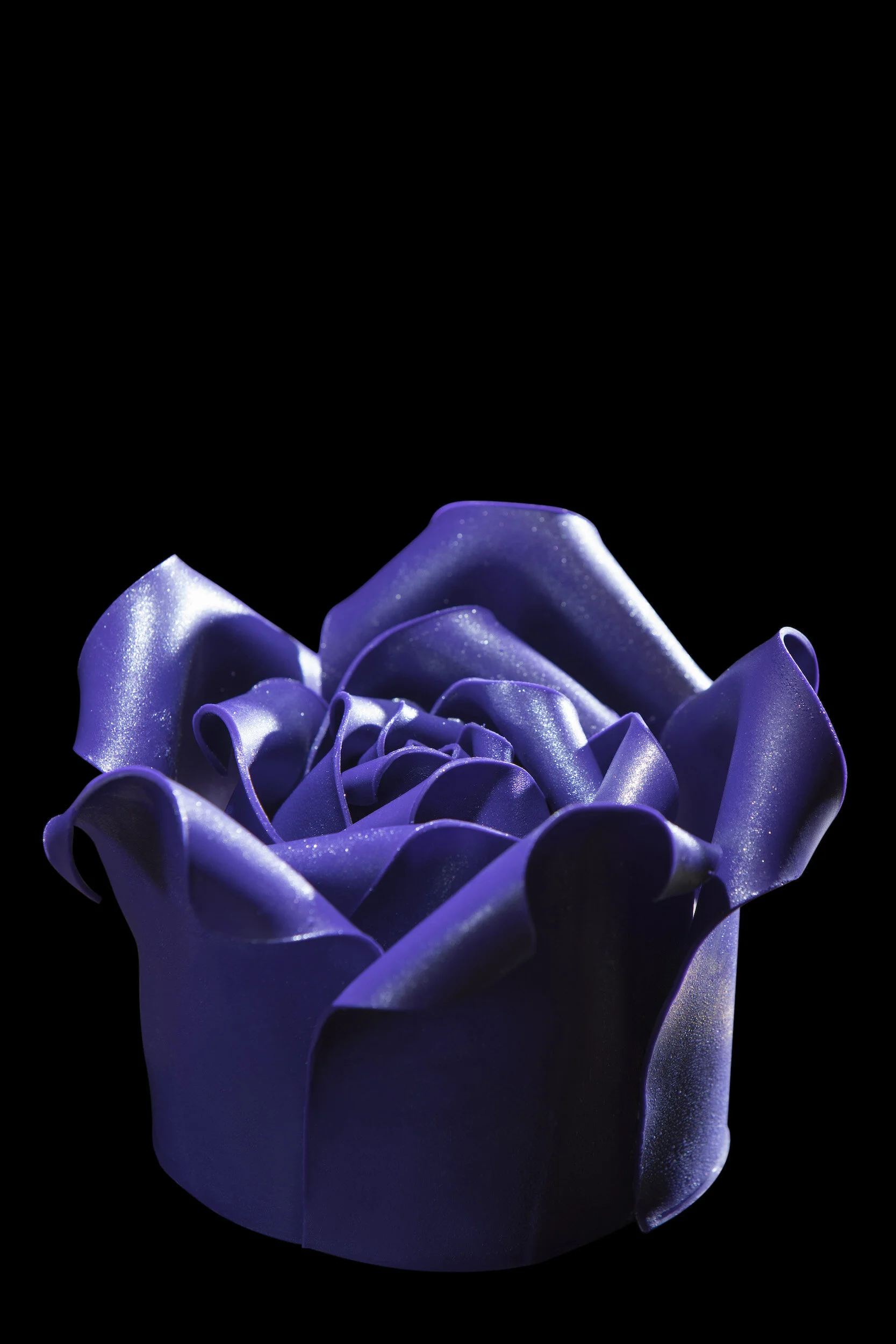 vivianwongphotography_wpl5324.jpg