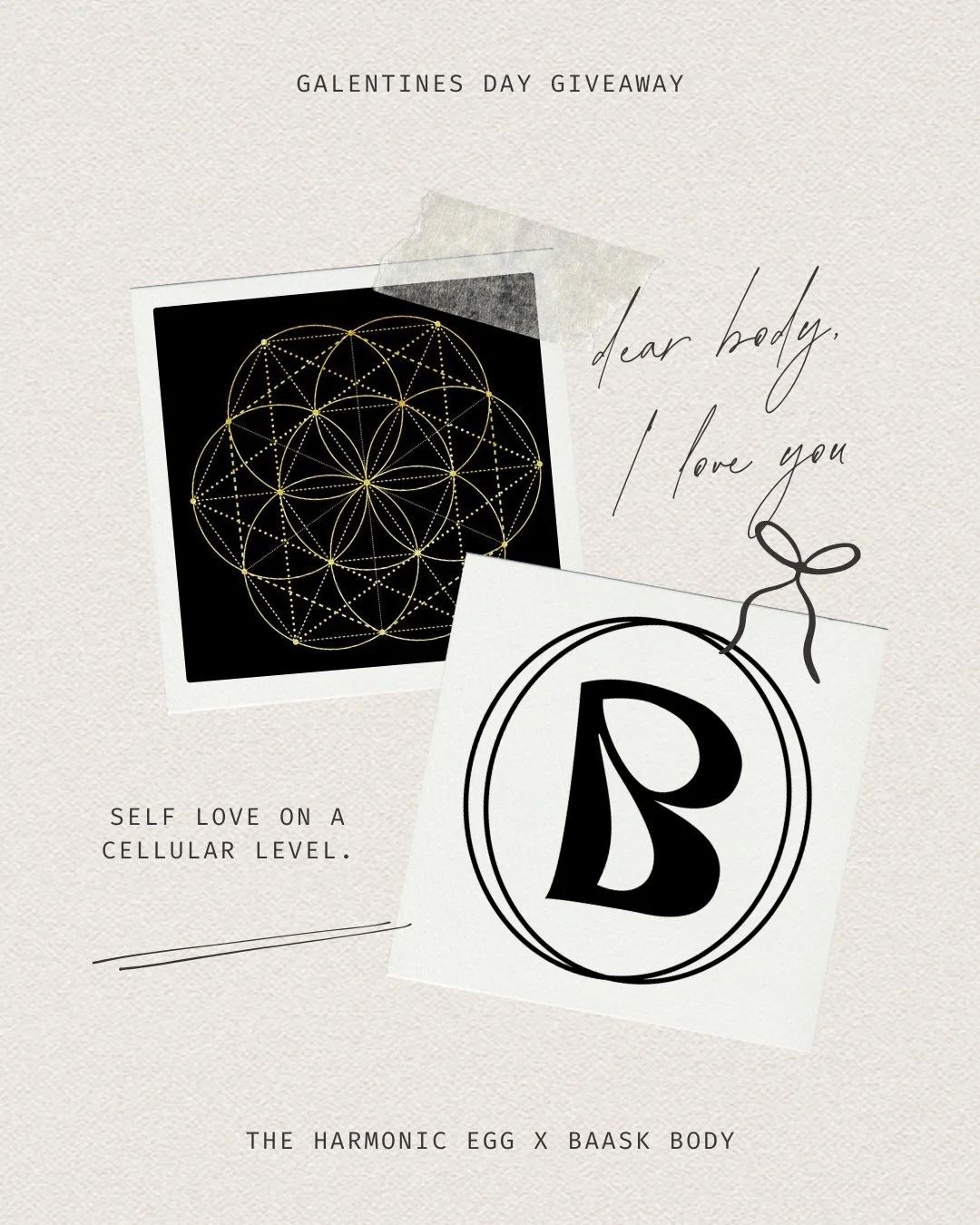 a love letter to your body.
self love, on a cellular level. we want to bring back balance and harmony while honoring YOU. 
to truly refocus and restore our bodies natural rhythm. give back to the most important relationship we can have. winner will r