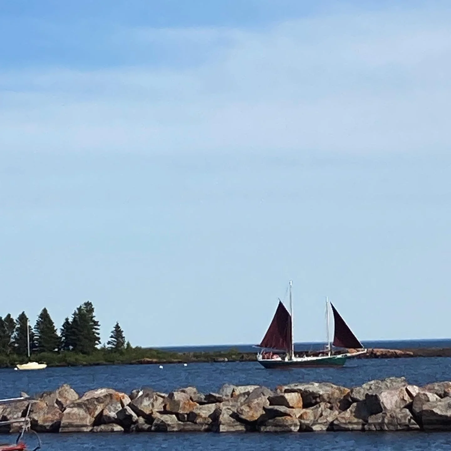 Thank you Minnesota 🙏🌞🌀

Midsommer/ solstice at @northhousefolkschool