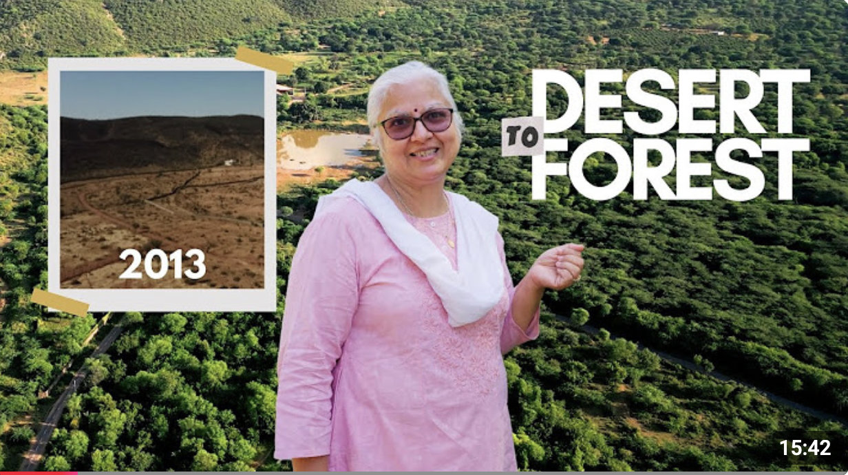 Screenshot 2026-01-05 at 12.44.49 PM.png