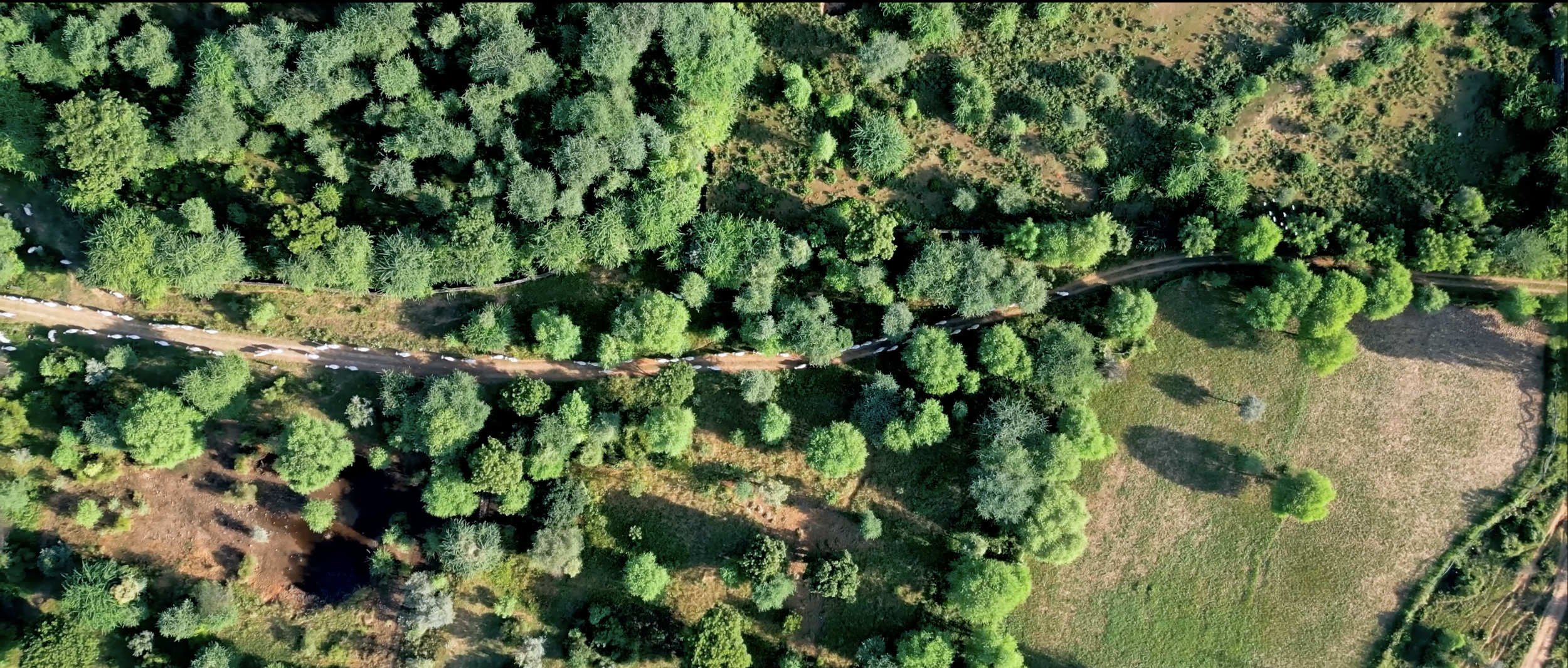 Screenshot 2026-01-05 at 12.55.08 PM.png