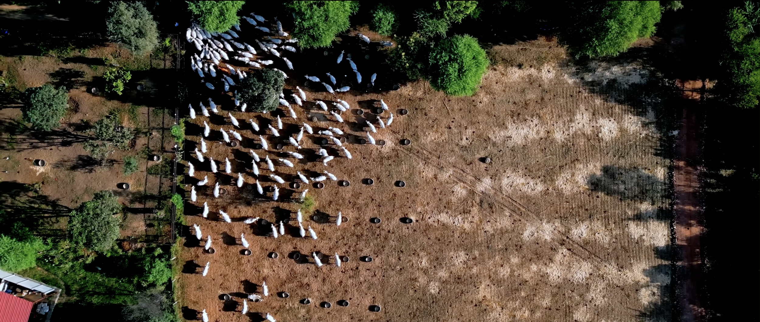 Screenshot 2026-01-05 at 12.52.53 PM.png