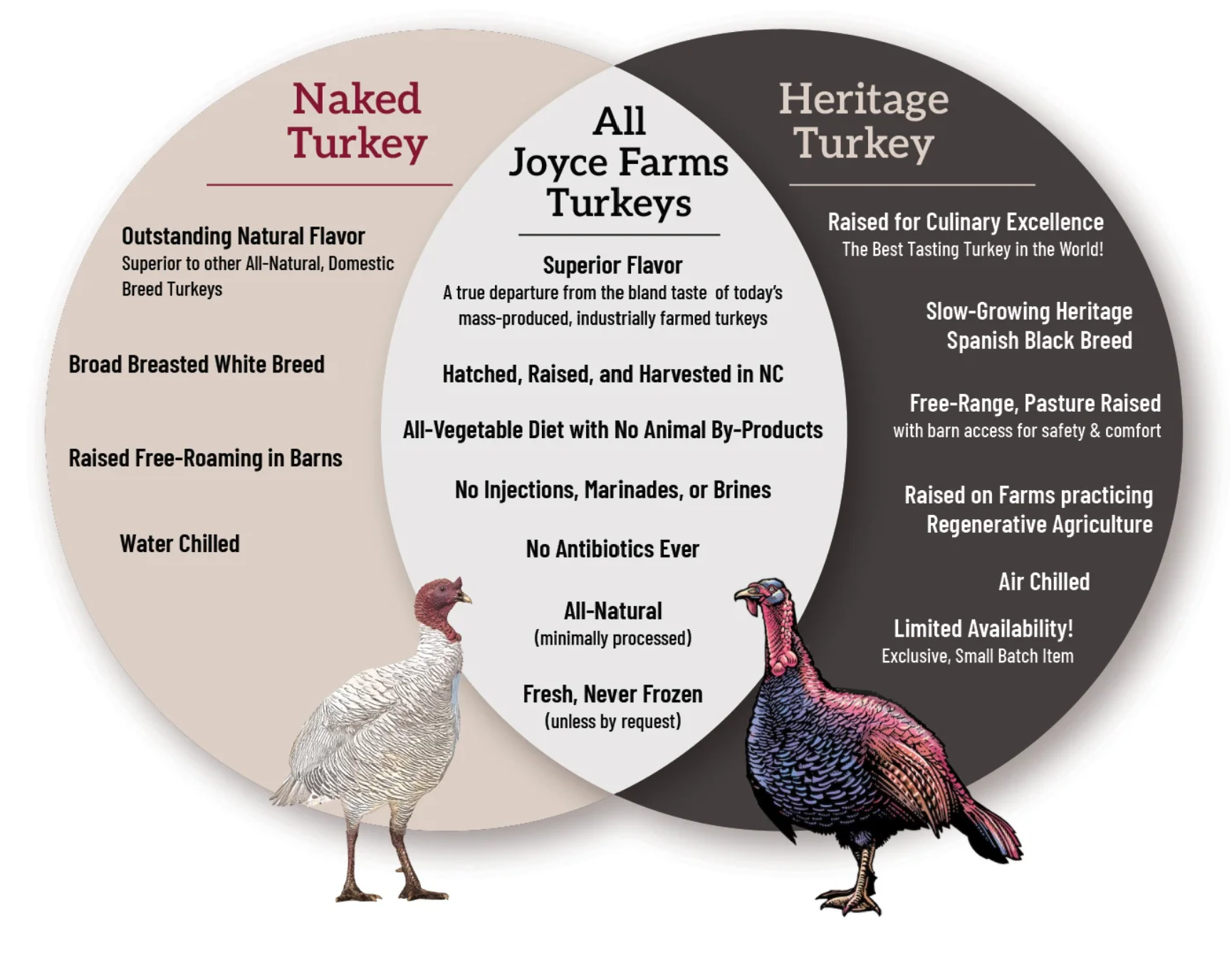 Diagram Turkey.png