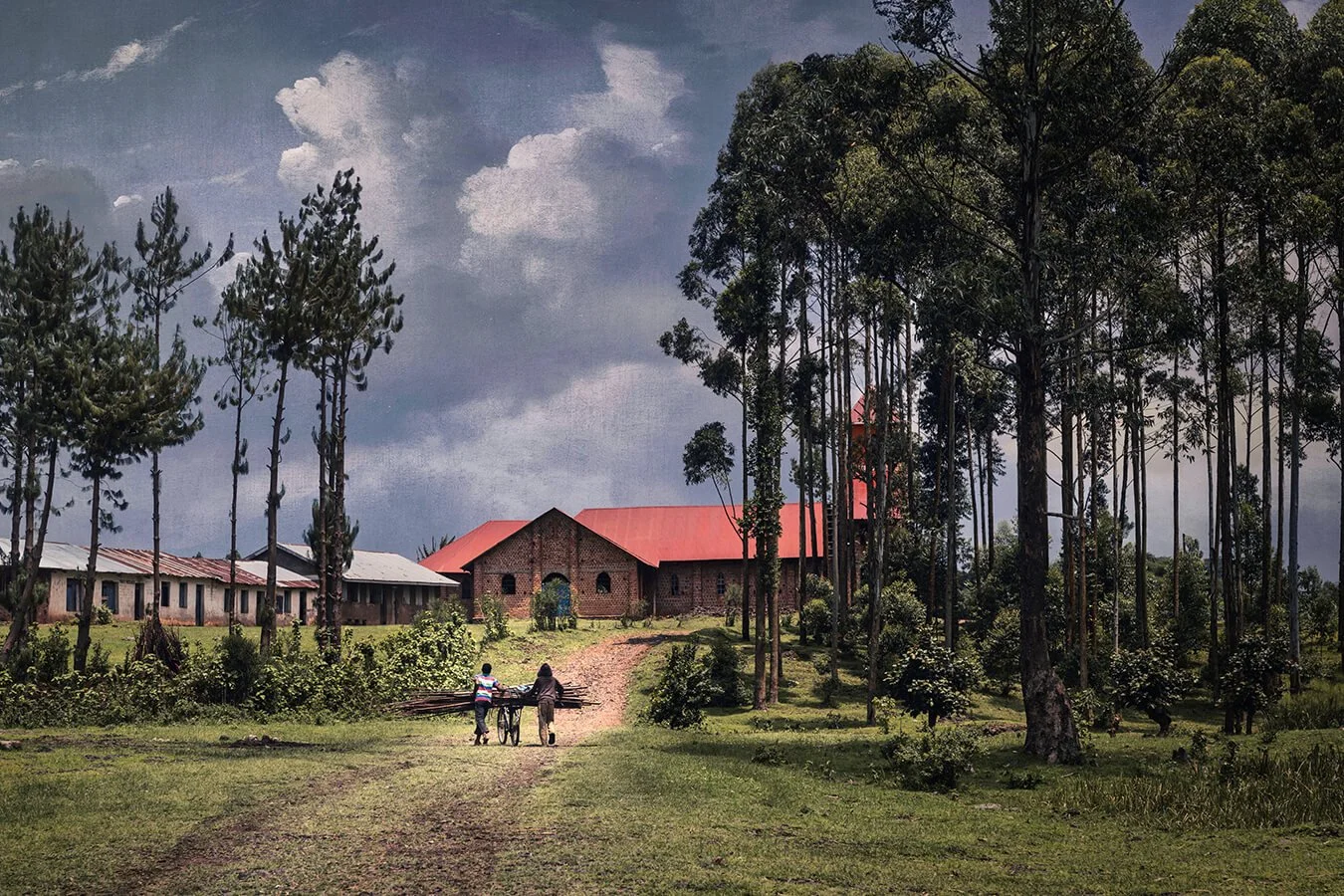 Green Road To The Canvas.jpg