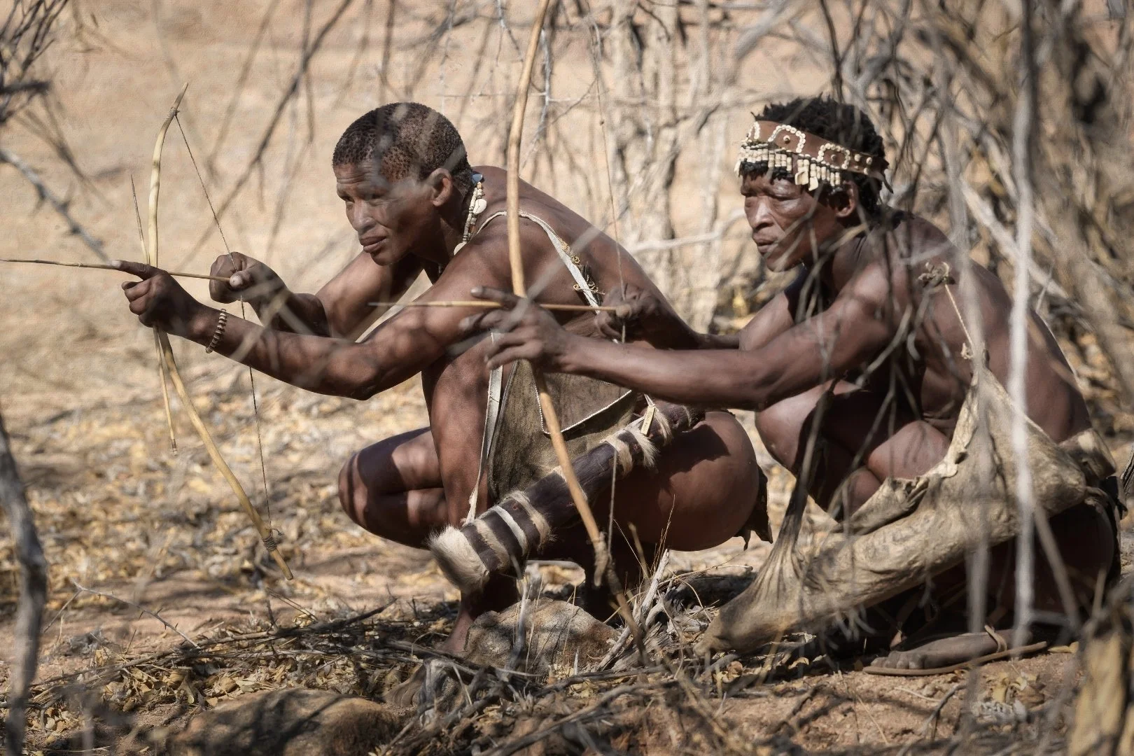 Eyes of the Land.jpeg