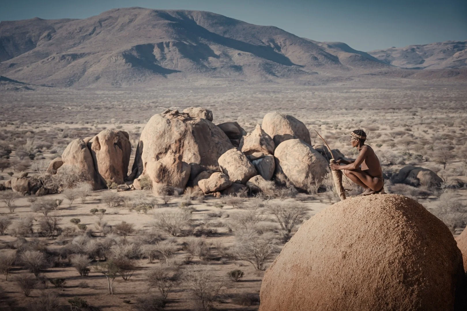 The Watcher’s Stillness.jpeg