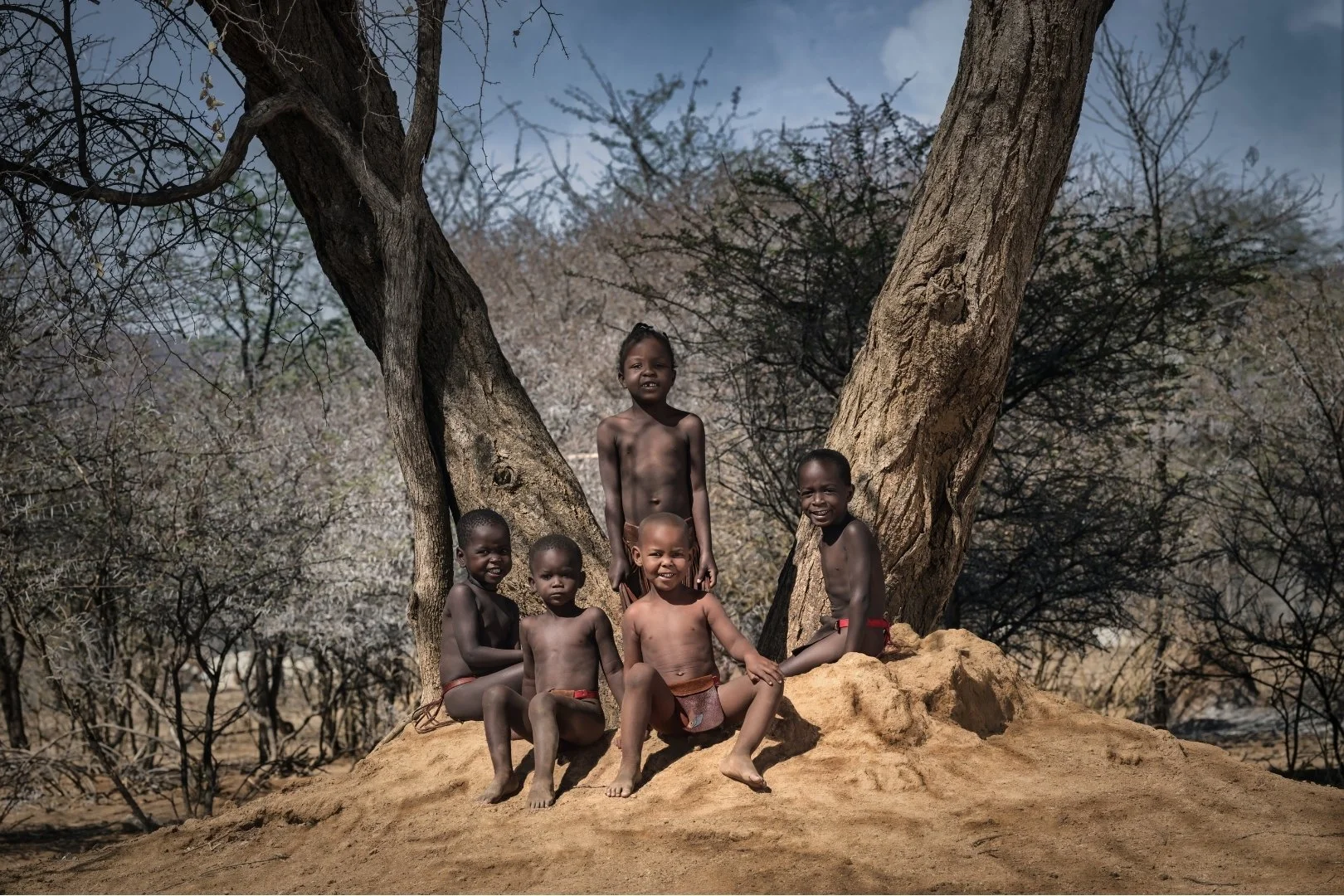 Guarded by Trees, Lit by Laughter.jpg
