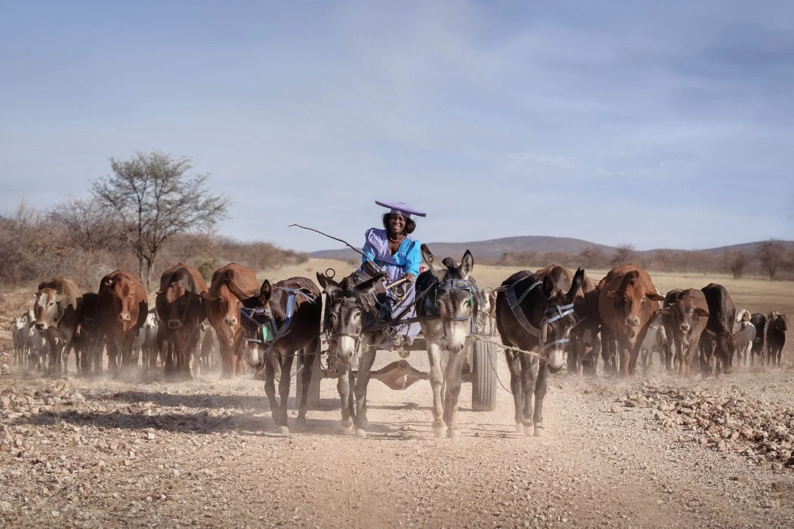 Heritage in Motion.jpg