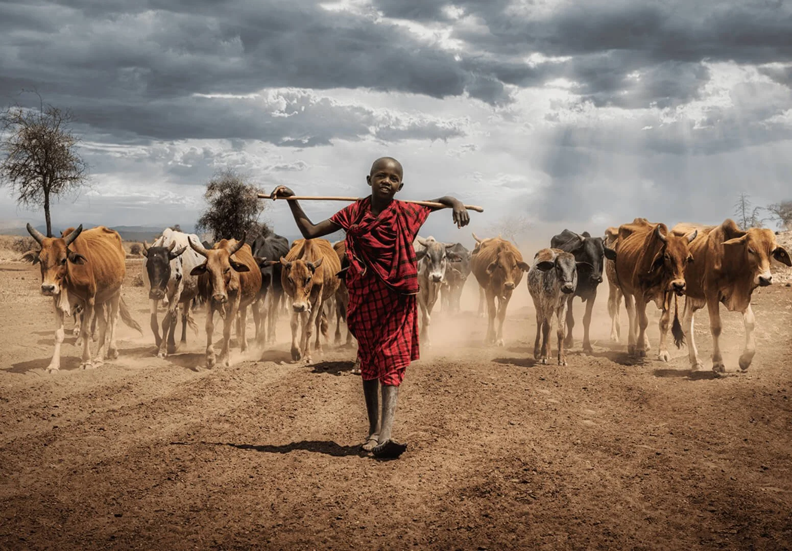 Rediscovering Joy : A Journey Through The Essence of Nature