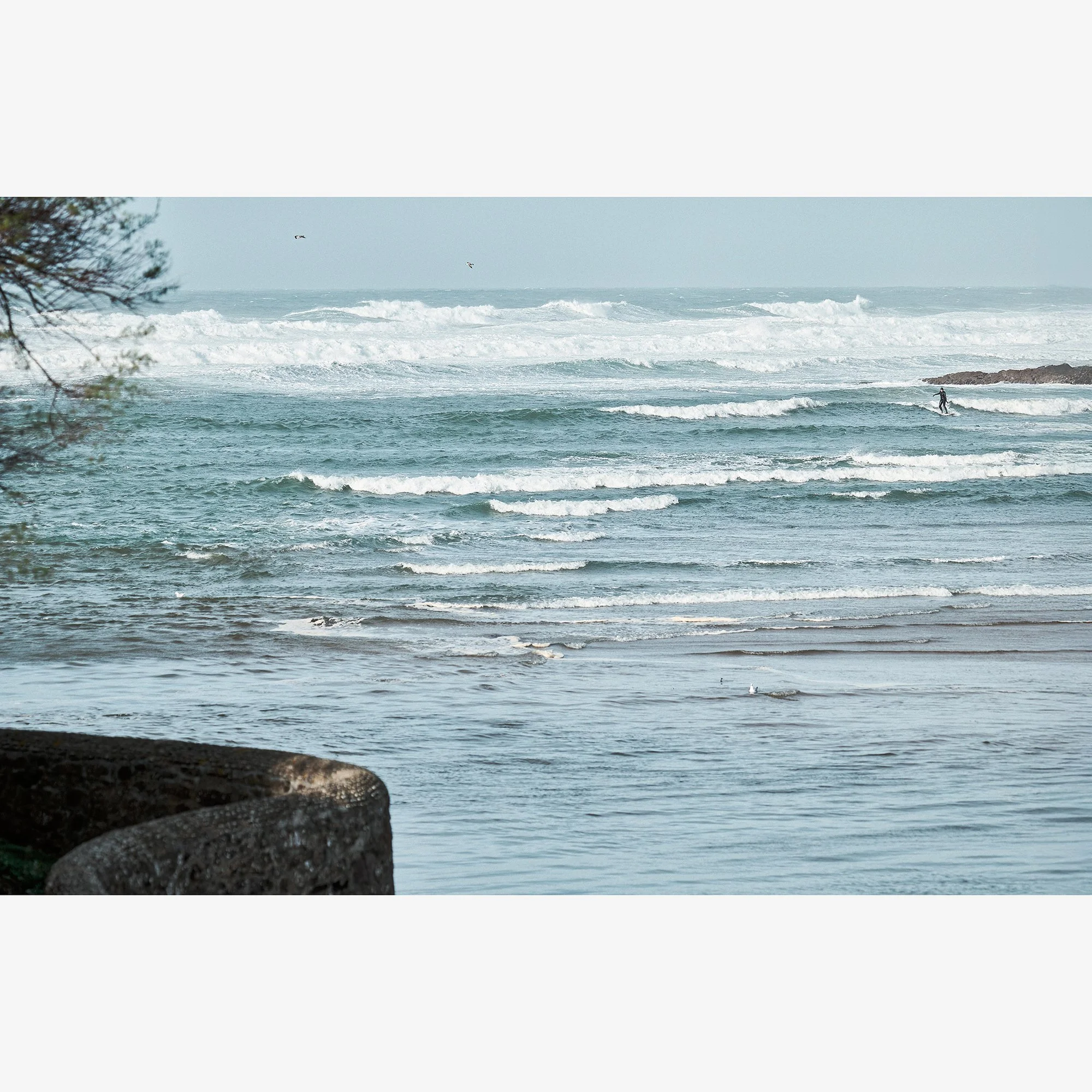 Deborah, High Tide, Summerleaze - November 2025
