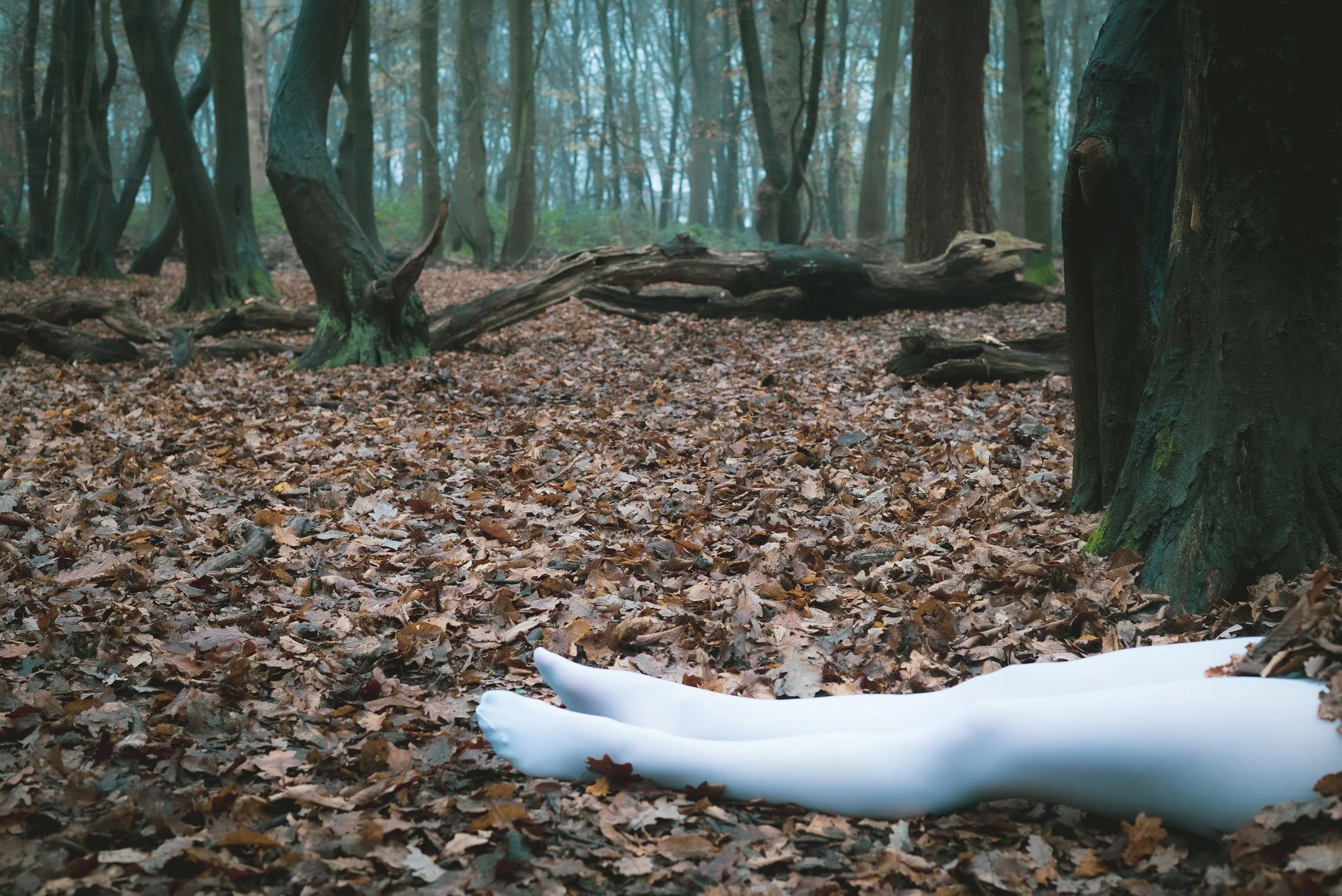 White Noise Varvara-3.jpg