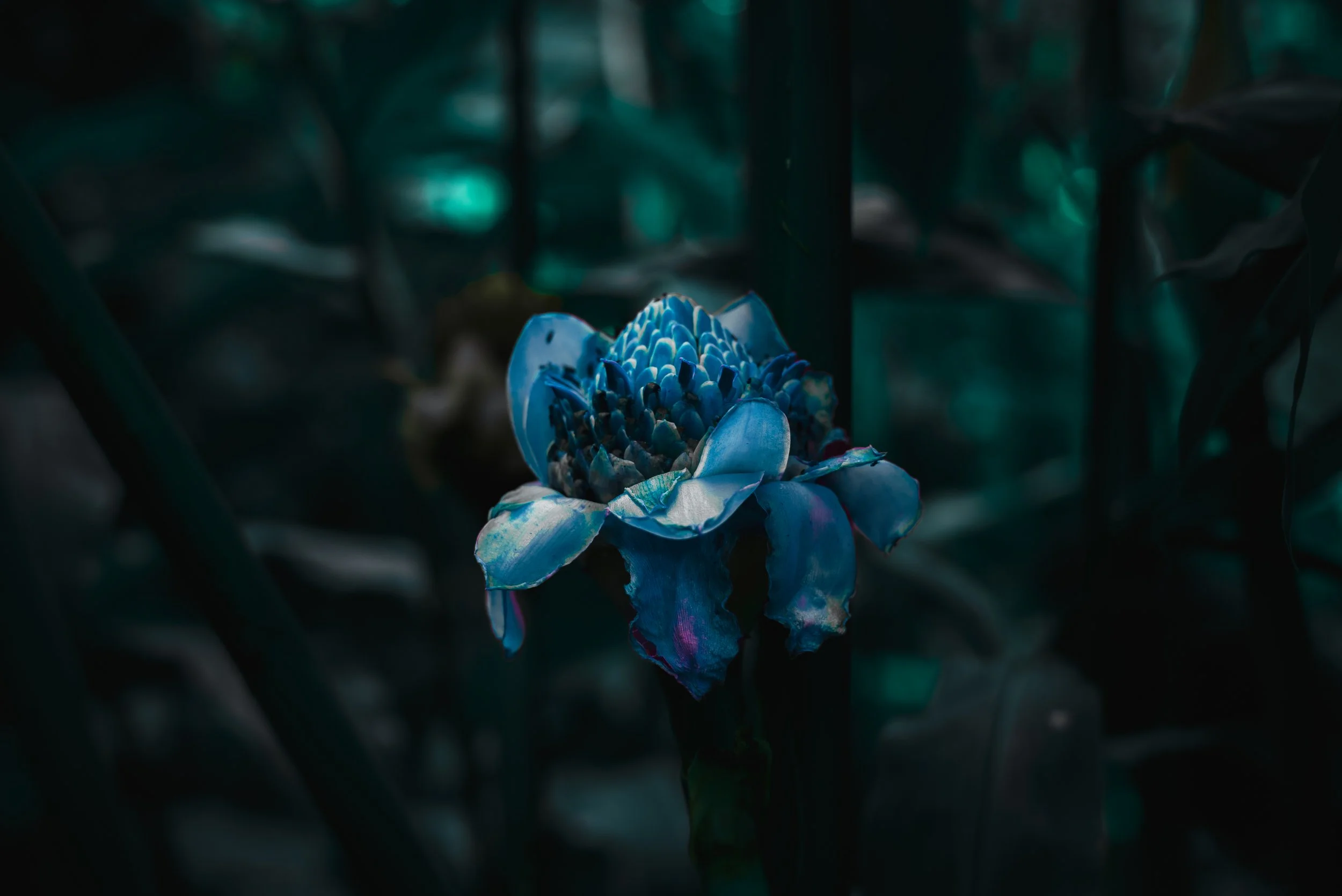 Hyper Nature Exhibition-20.jpg