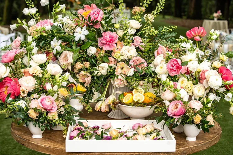 Petaloso-LegareWaringHouse-LittlePalmStudio-45.webp