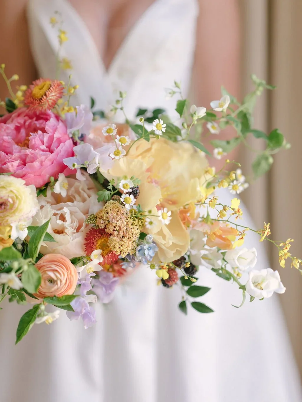 DSCF2645.webp