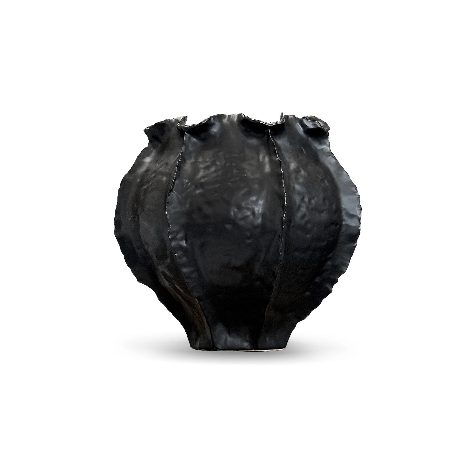 Rooted Elegance Vase (11" H x 11.5" D)