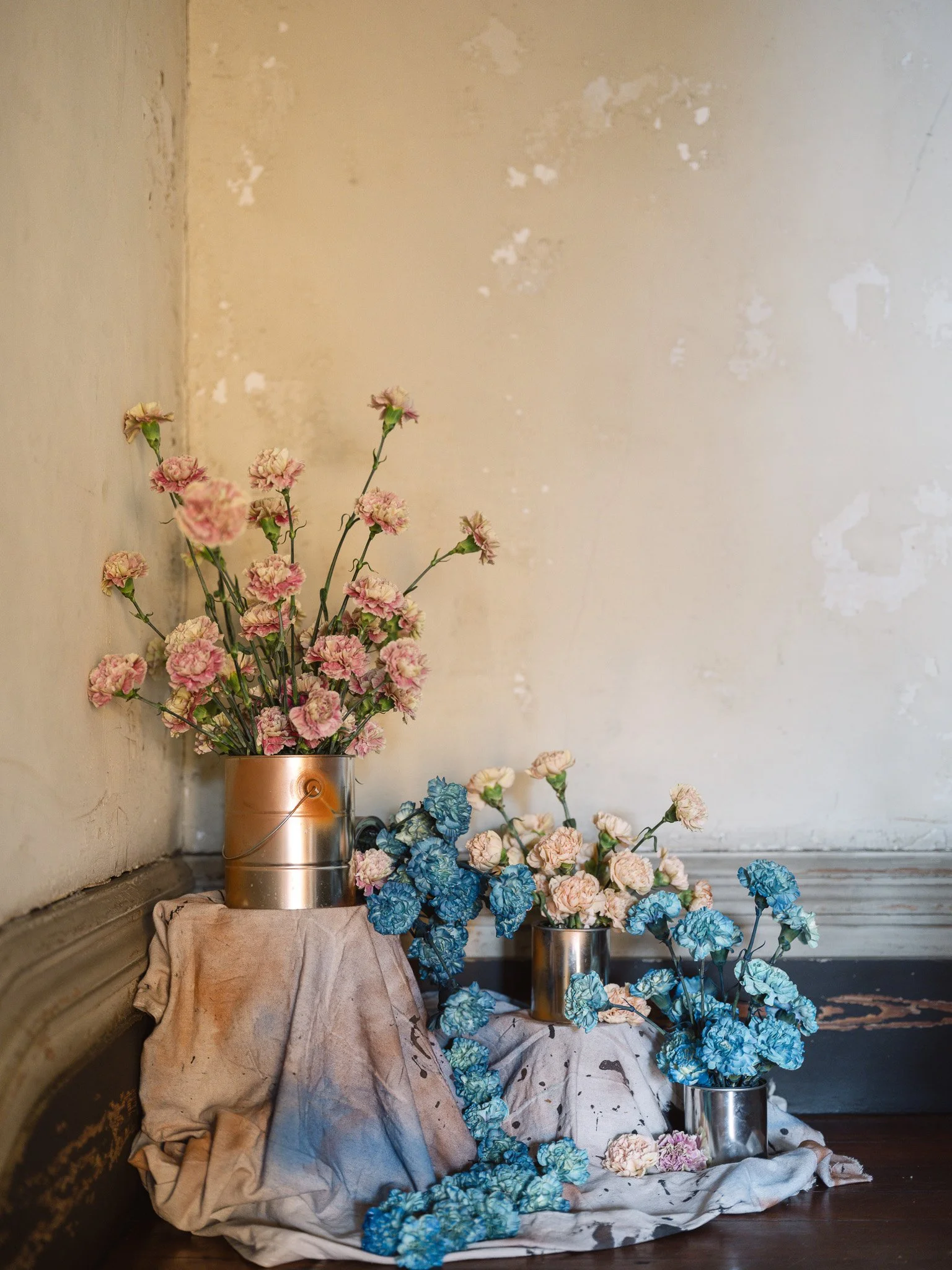 Anne Rhett Photography CXD 2024 WEB-080.jpg