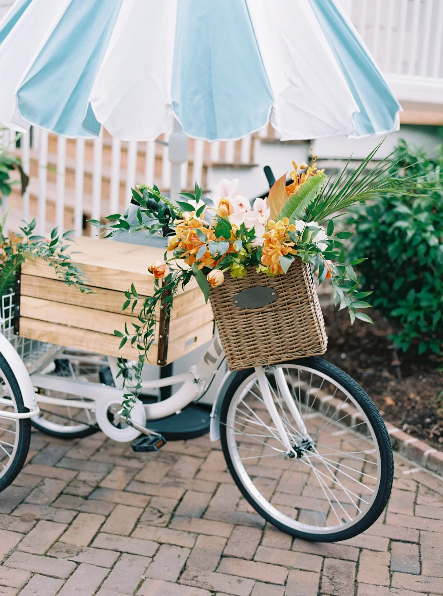 FILM_JennaLogan_Wedding_kailee_dimeglio_photography-53.webp