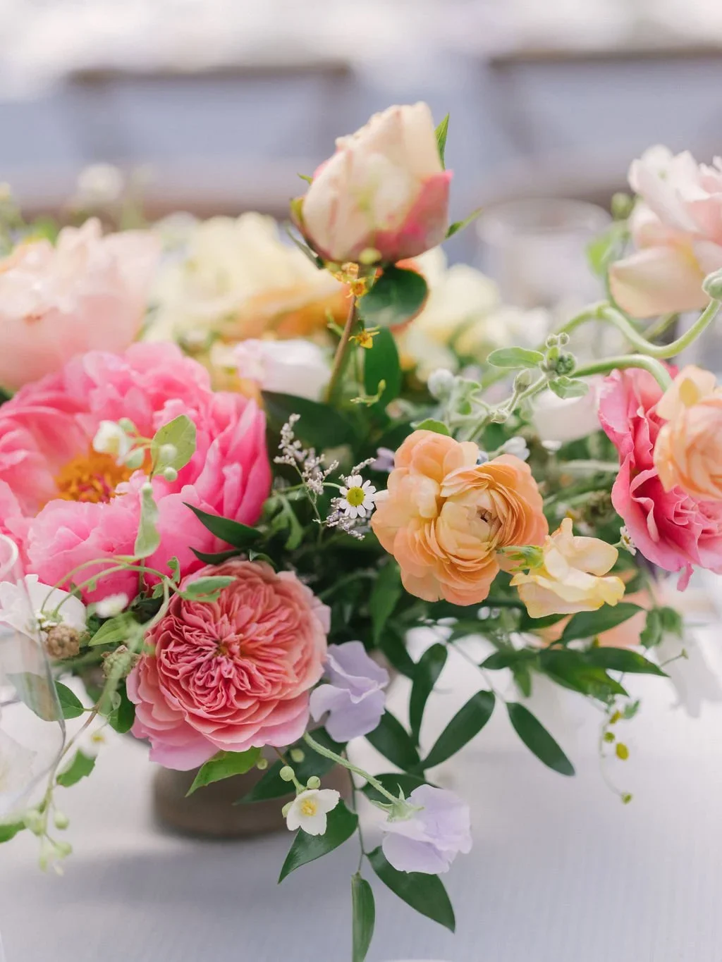 DSCF2845.webp
