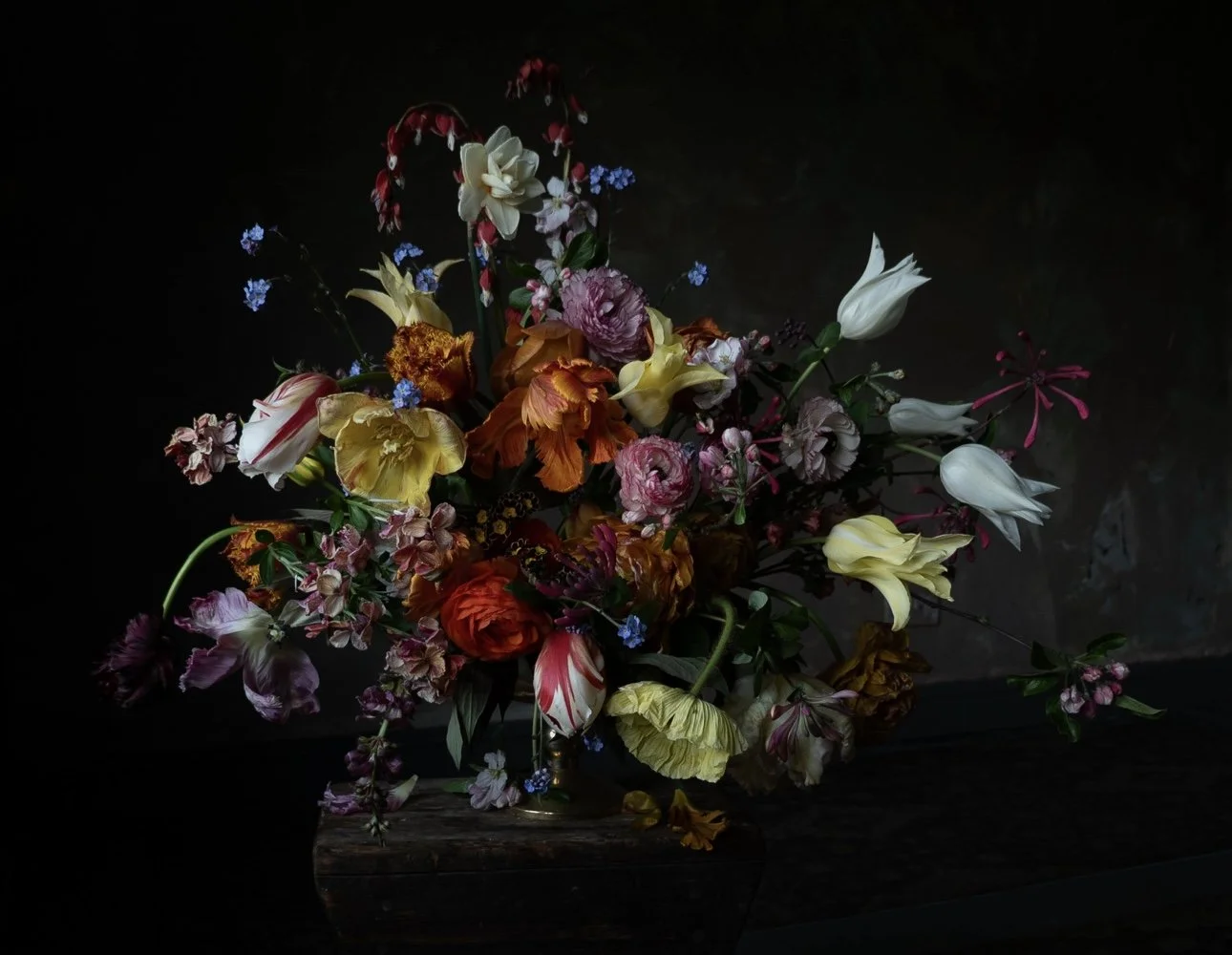 Poppies &amp; tulips