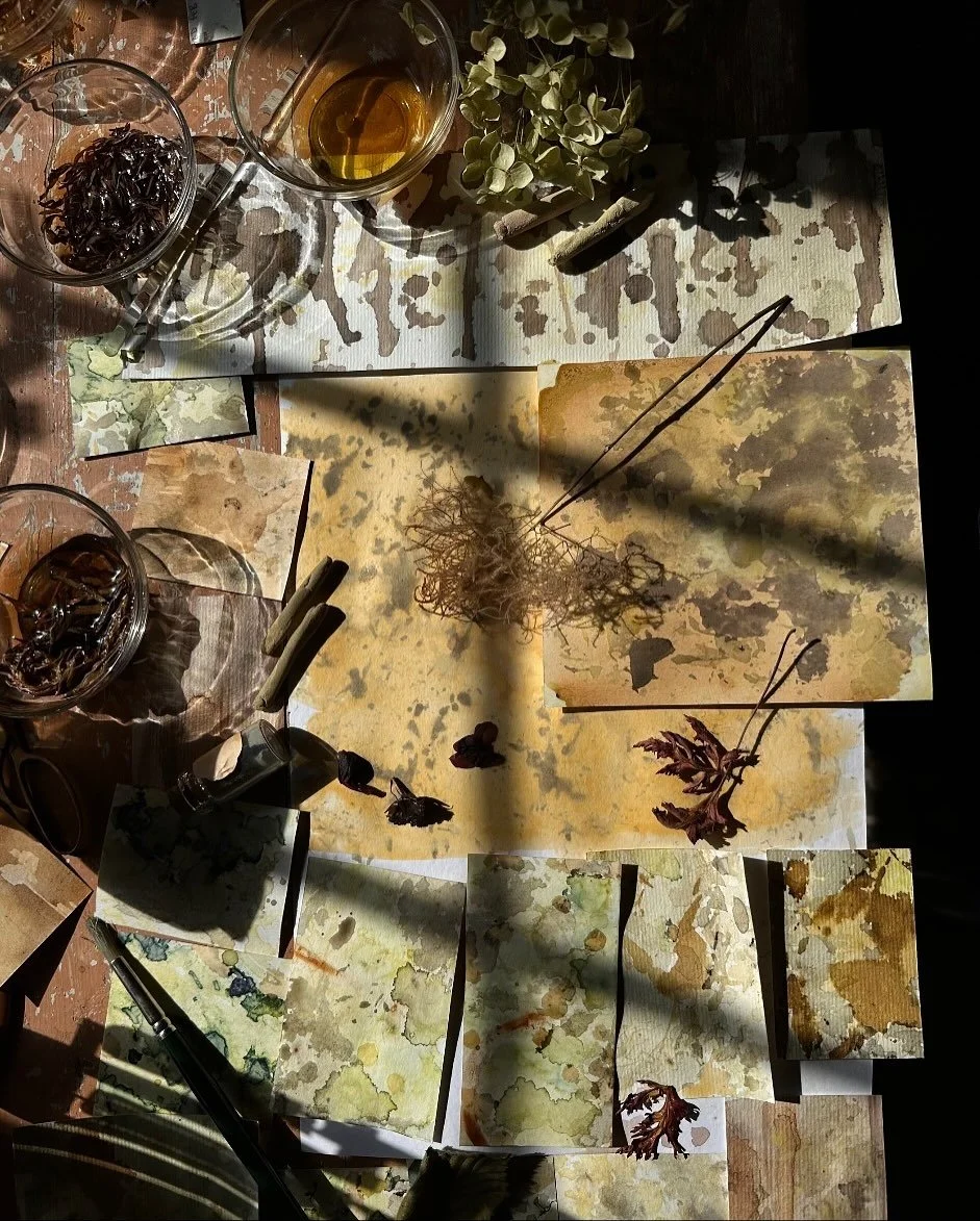 A year in the garden in colours - derived from autumnal twigs, winter bulbs and summer flowers and everything in between. Botanical inks, pigments and pastels on paper, my fingers and down my nails 😳 #messyworker 

Natural dye / Garden gathered / La