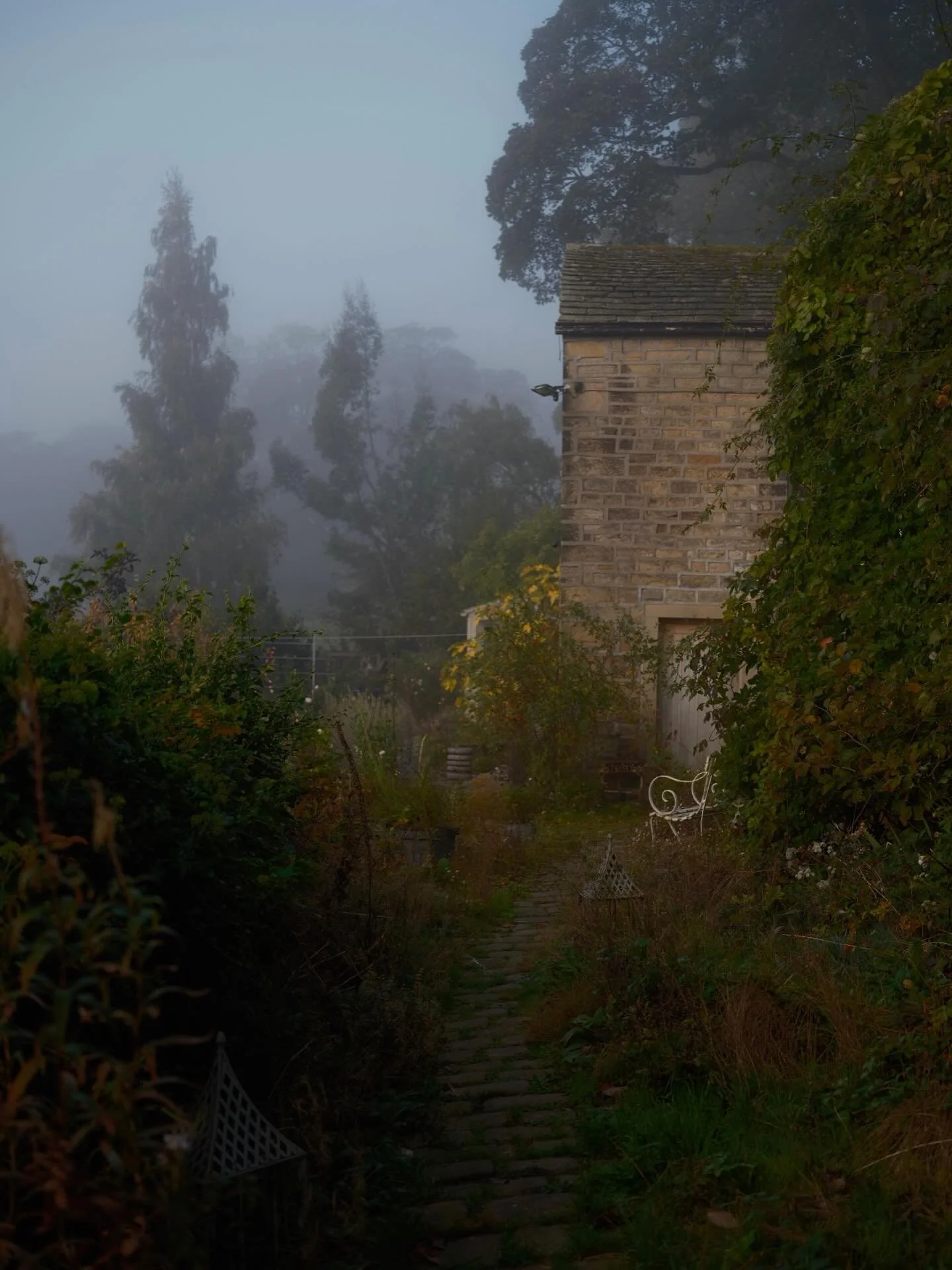 Is there anything more beautiful than a misty start to a sunny October morning? I really don&rsquo;t think so. Just a little placeholder from the garden to say hello 👋 and let you know that I&rsquo;m still around while I paddle away furiously behind