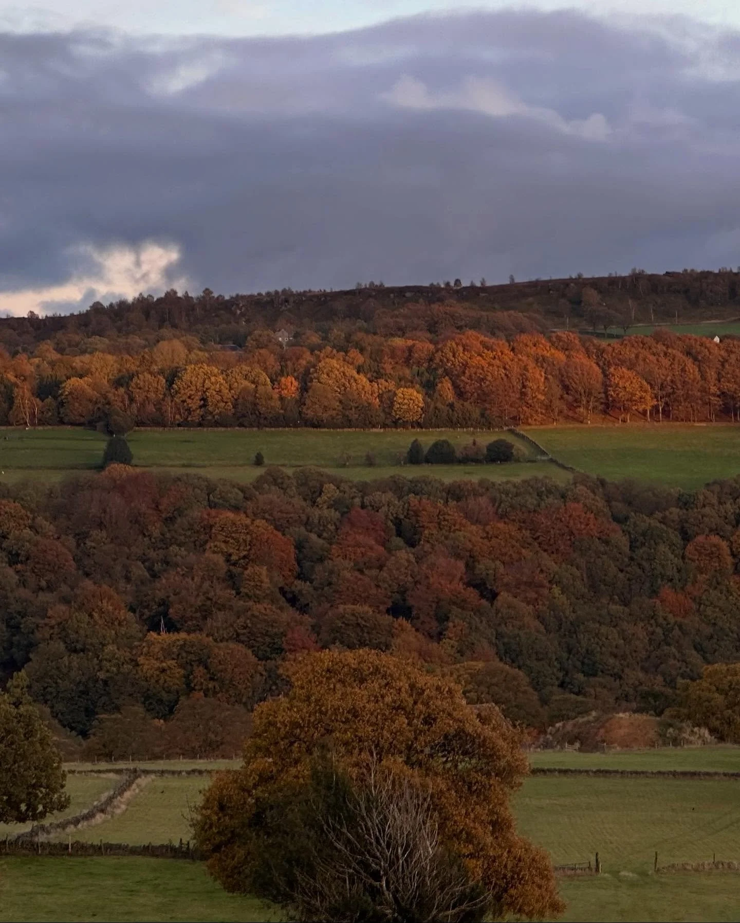 Our hills are looking pretty special right now 🍂 

#upandautumn #pennines