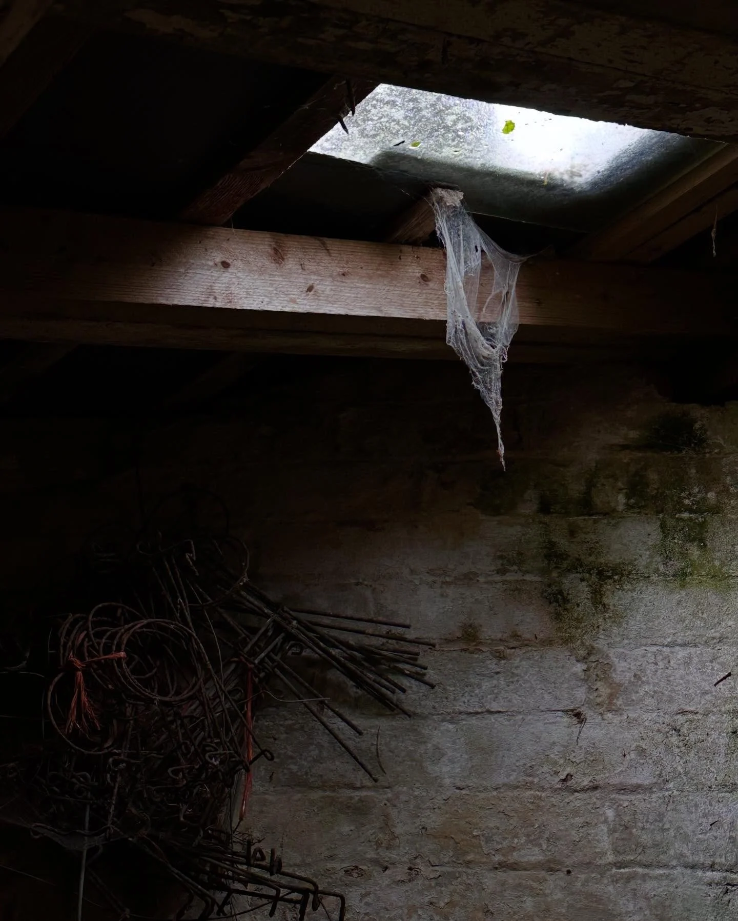 When the veil to the other side is at its thinnest.

Cobweb from the outbuildings at @heeled_in