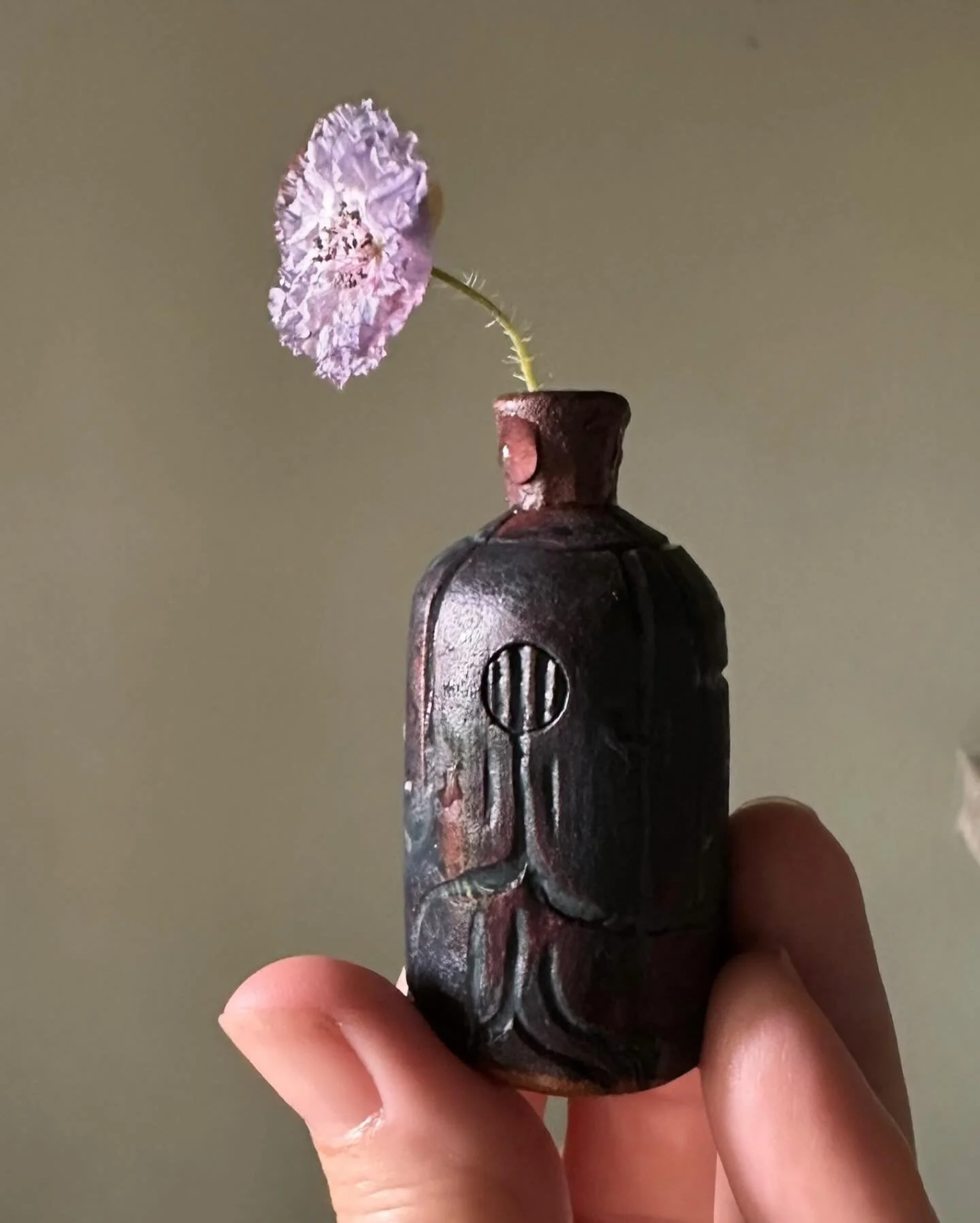 Remembering with a small but beautiful poppy