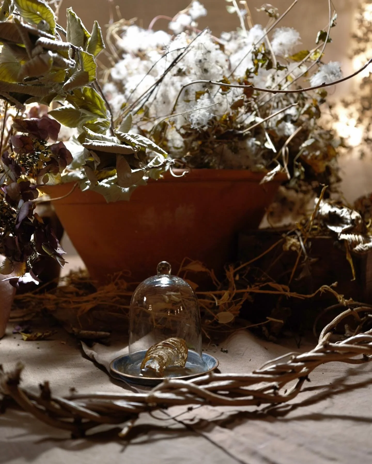 More from Wintering Naturally on Saturday with me and @really_lindabarker where I shared my thoughts on designing with flowers in winter, when I actively avoid traditional winter ingredients and gravitate instead to things others don&rsquo;t even thi