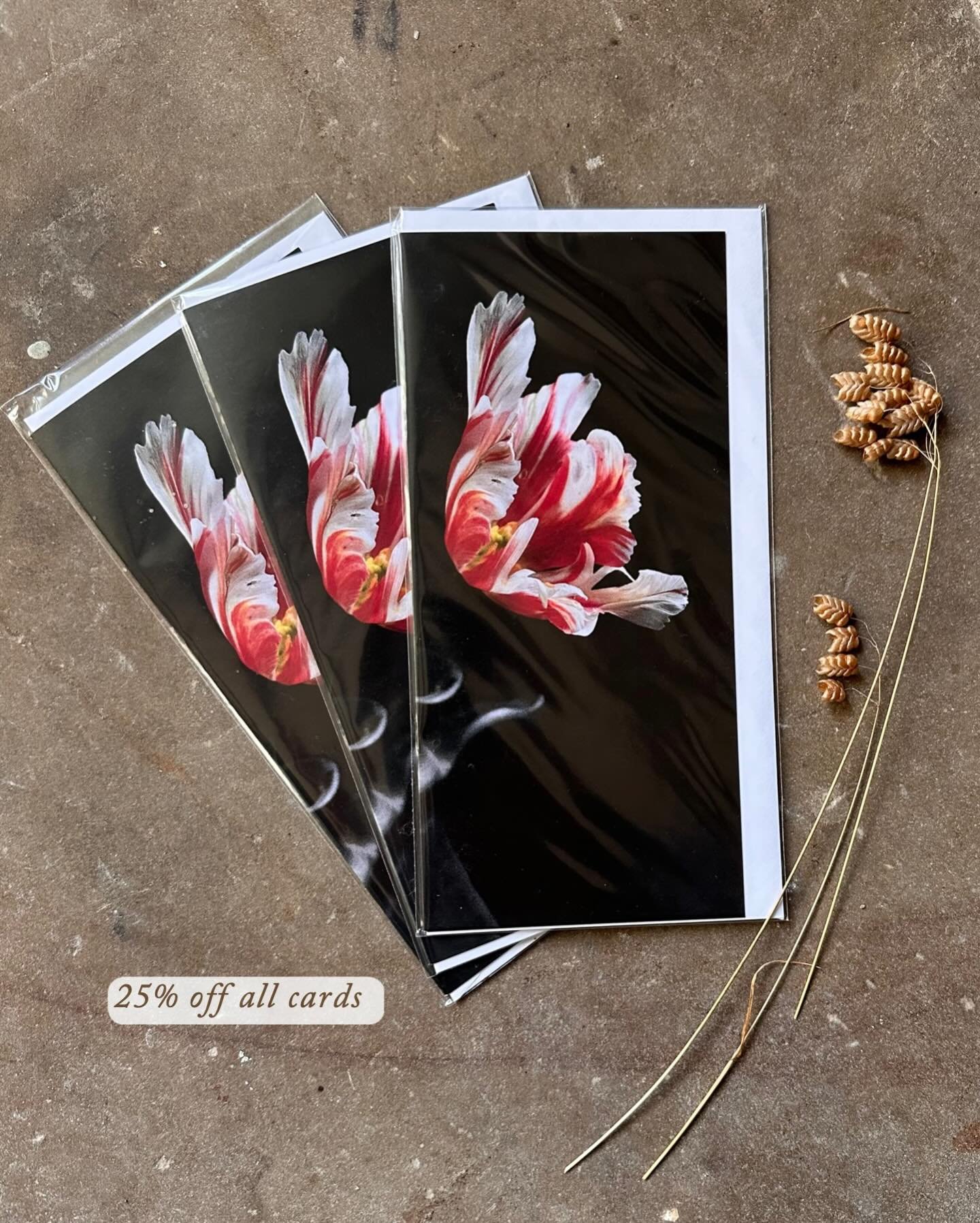 Just wanted to say a heartfelt thank you to everyone who has bought my cards and prints - especially those who will be stocking them 🙏💫🥰
There&rsquo;s just a couple of days left on the subscriber discount as it ends at midnight on NYE x