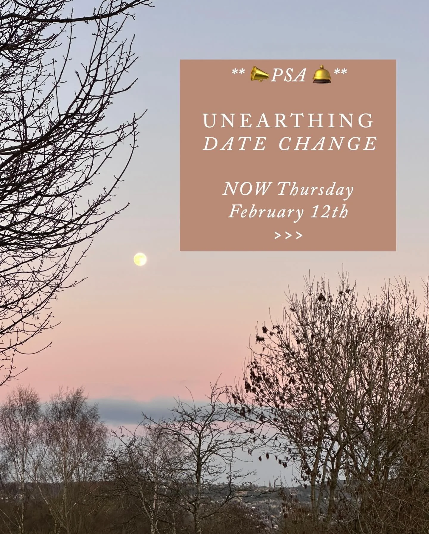 Unearthing date change - Rachel @catkinflowers and I will now be holding it on February 12th, so if you were unable to make the original date, now is your chance, there is still a space available 😆 
If you still don&rsquo;t know what unearthing is a