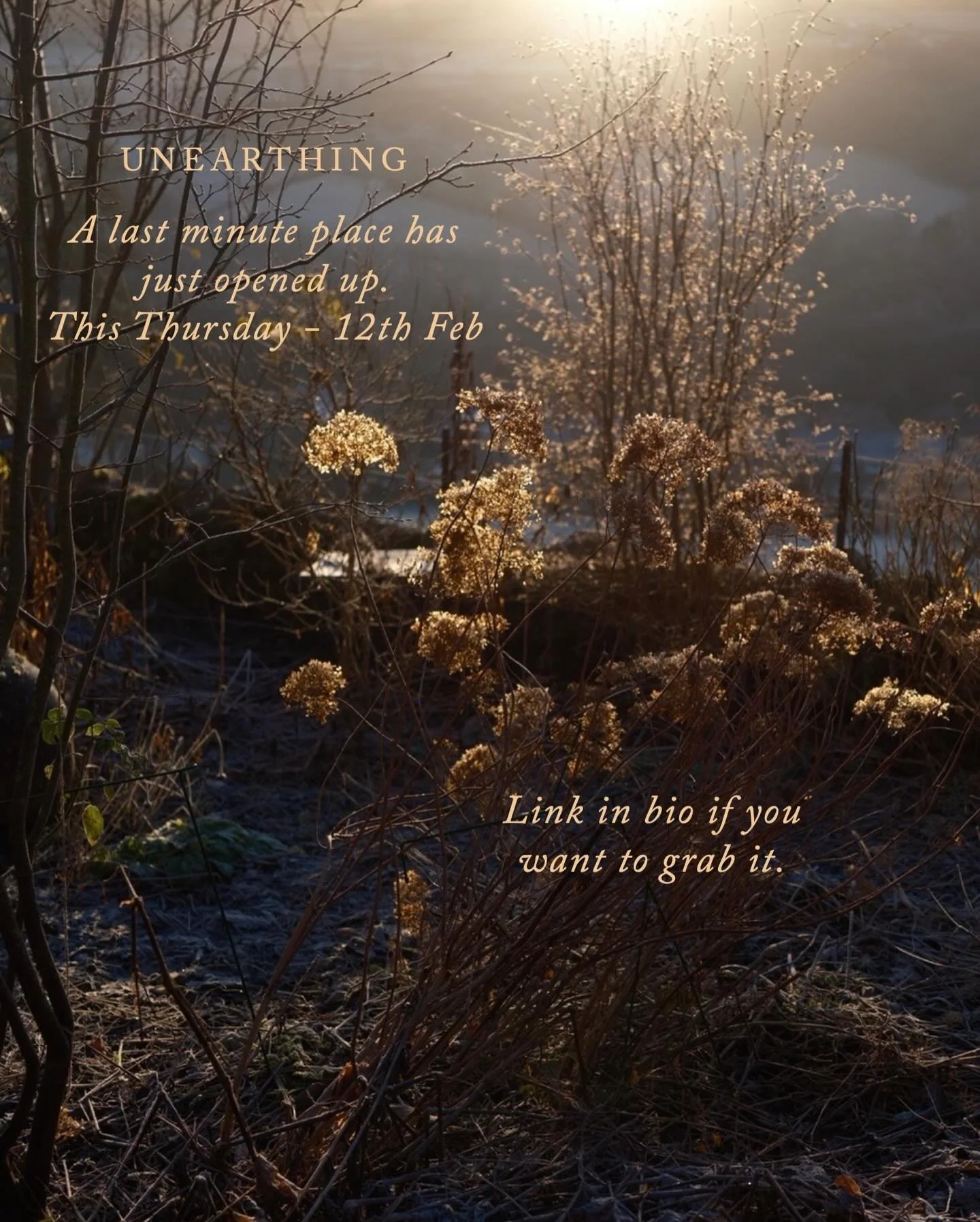 Due to a last minute cancellation, a place on Thursday&rsquo;s Unearthing has just become available, so here&rsquo;s your chance to snap it up if it&rsquo;s been on your radar 😆 

As ever it&rsquo;s at Rachel @catkinflowers beautiful therapy garden 