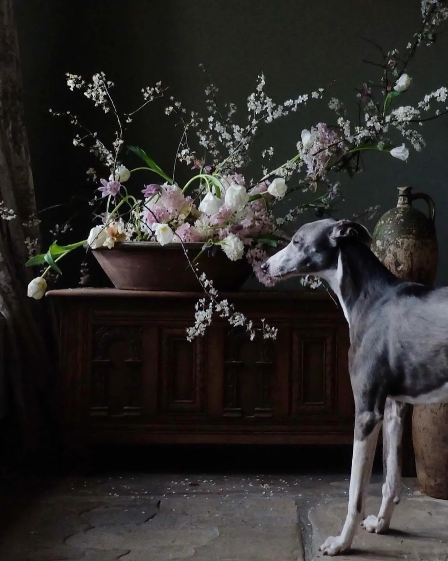 Still marking the day Ruby whippet whirlwinded into our lives even though she&rsquo;s no longer with us 💔🌪️🐶