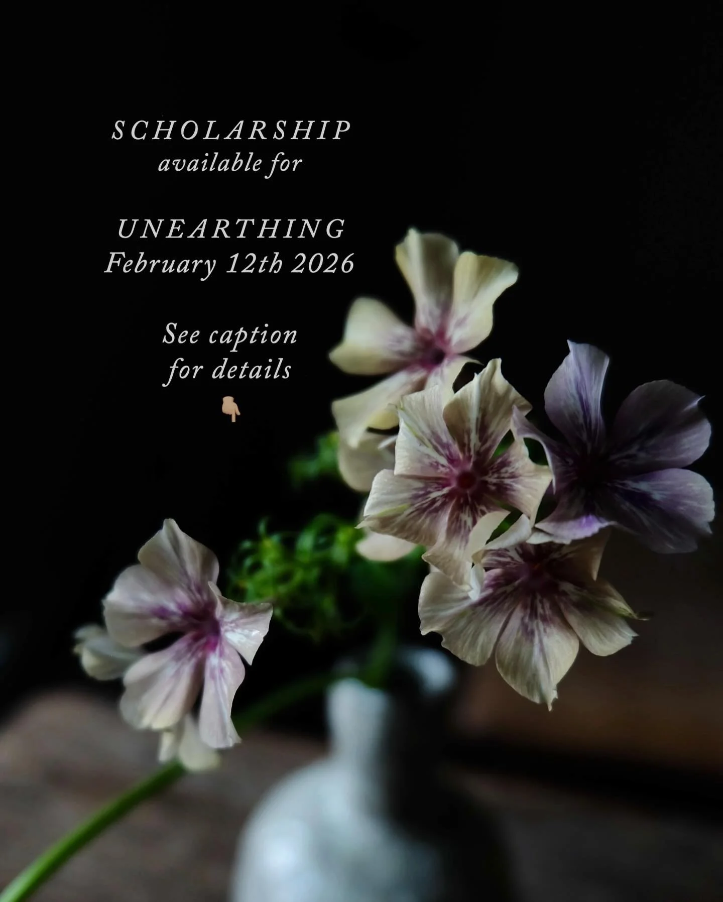 We have opened up one scholarship place for the next Unearthing on Feb 12th. If this has been something you&rsquo;ve been desperate to attend but are simply unable to, this is for you - perhaps it&rsquo;s out of reach financially, or maybe there are 