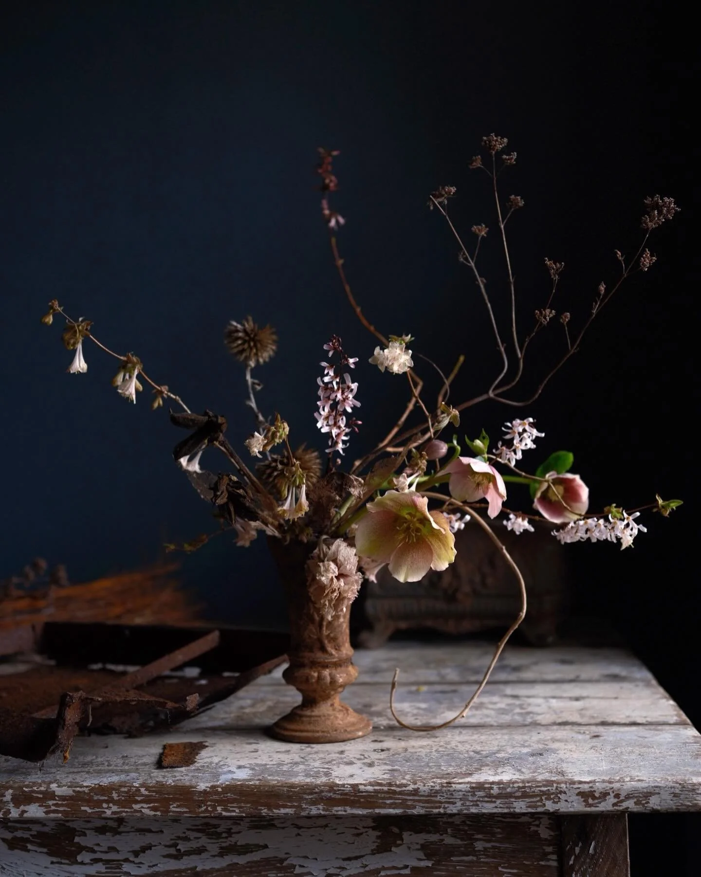 February flowers and some lovely dead crap in a rusty vase:
Hellebore
Pink forsythia (highly recommend. V slow growing but worth the wait 😆)
Winter flowering honeysuckle
Itoh peony seedheads
Echinops ritro seedheads
Dried ranunculus 
A rusted fire g
