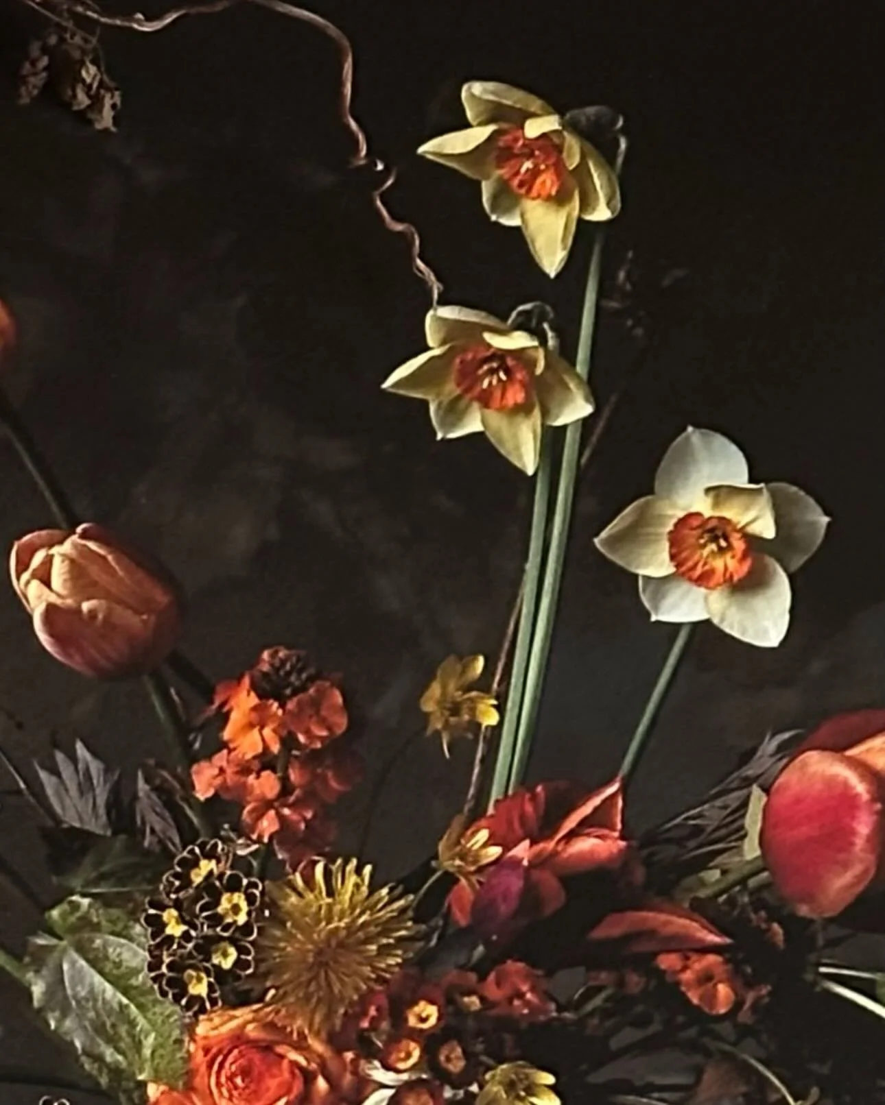 I can&rsquo;t remember the name of these daffodils, but they&rsquo;re pretty special aren&rsquo;t they? 💥 Close up of a spring arrangement from a few years ago - grown in the garden, picked, arranged, photographed, framed and now hanging on the stud