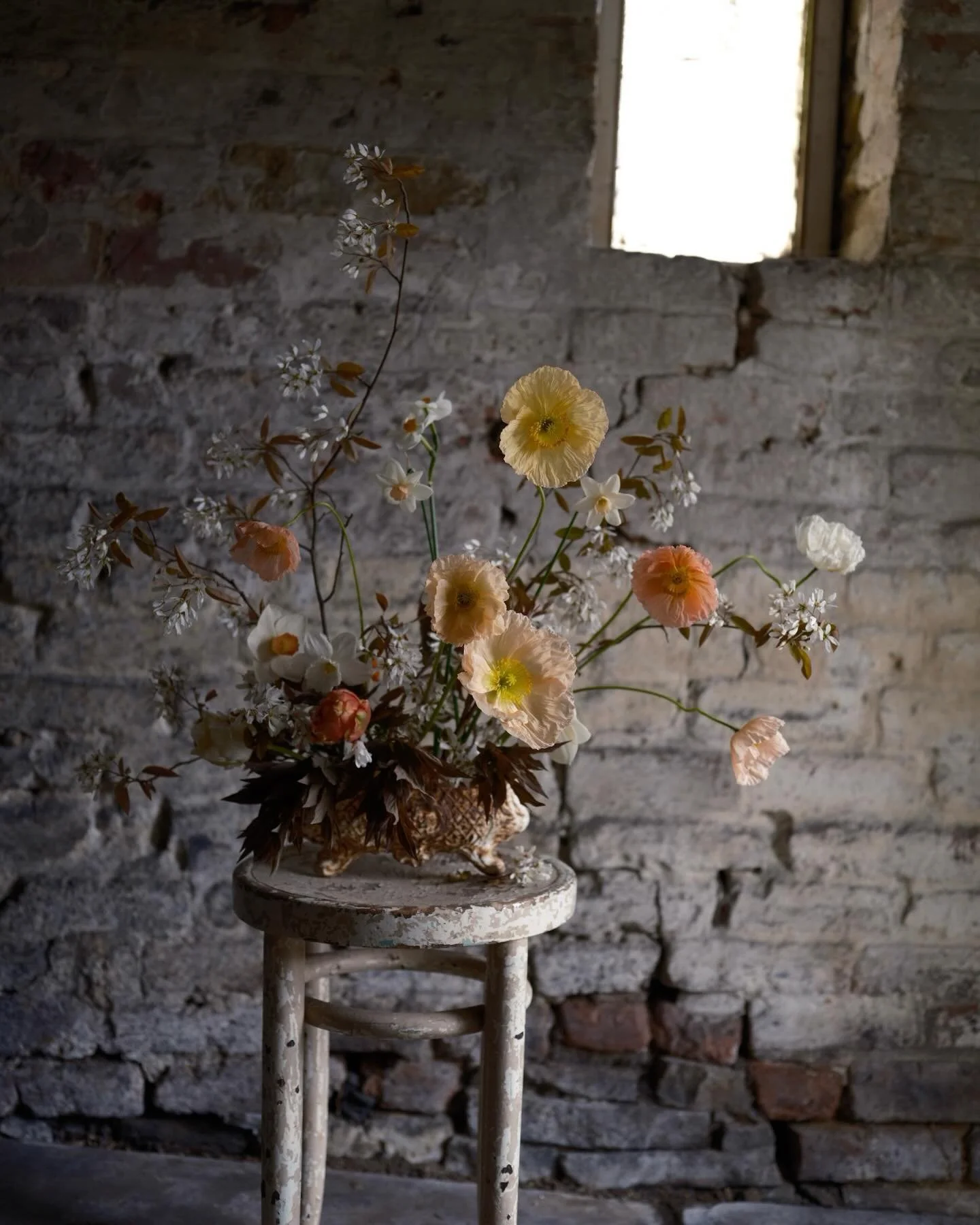 When the Icelandic poppies from @petalon_flowers open just as you&rsquo;re mid-tidy of a space with beautiful light, it would be rude not to try it out right? 🤷🏻&zwj;♀️ 

After days spent amidst chaos, dust and some worryingly large🕷️as I tried to