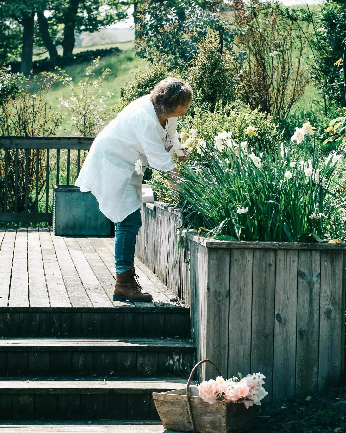 I came across these pictures recently of the garden in 2016 featuring raised beds and even a lawn, both of which have long gone. Whenever my work changes and evolves, the garden does too - the final two pics show one of the biggest transformations - 