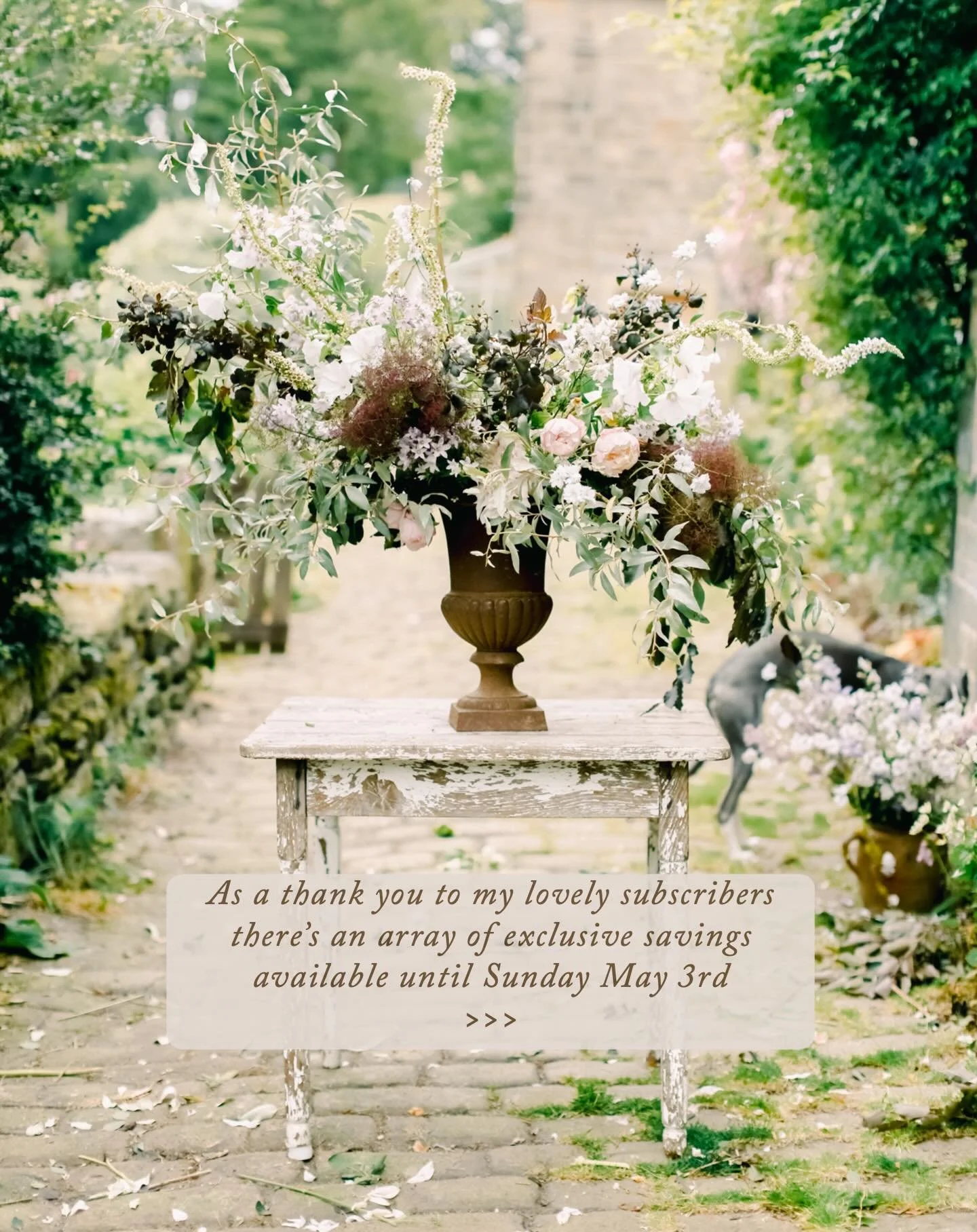 Things are so god awful at the moment that I wanted to make things a teeny bit easier for my lovely crew of subscribers to my erratically infrequent newsletter, some of whom have been there from the start. So I&rsquo;m offering some substantial savin