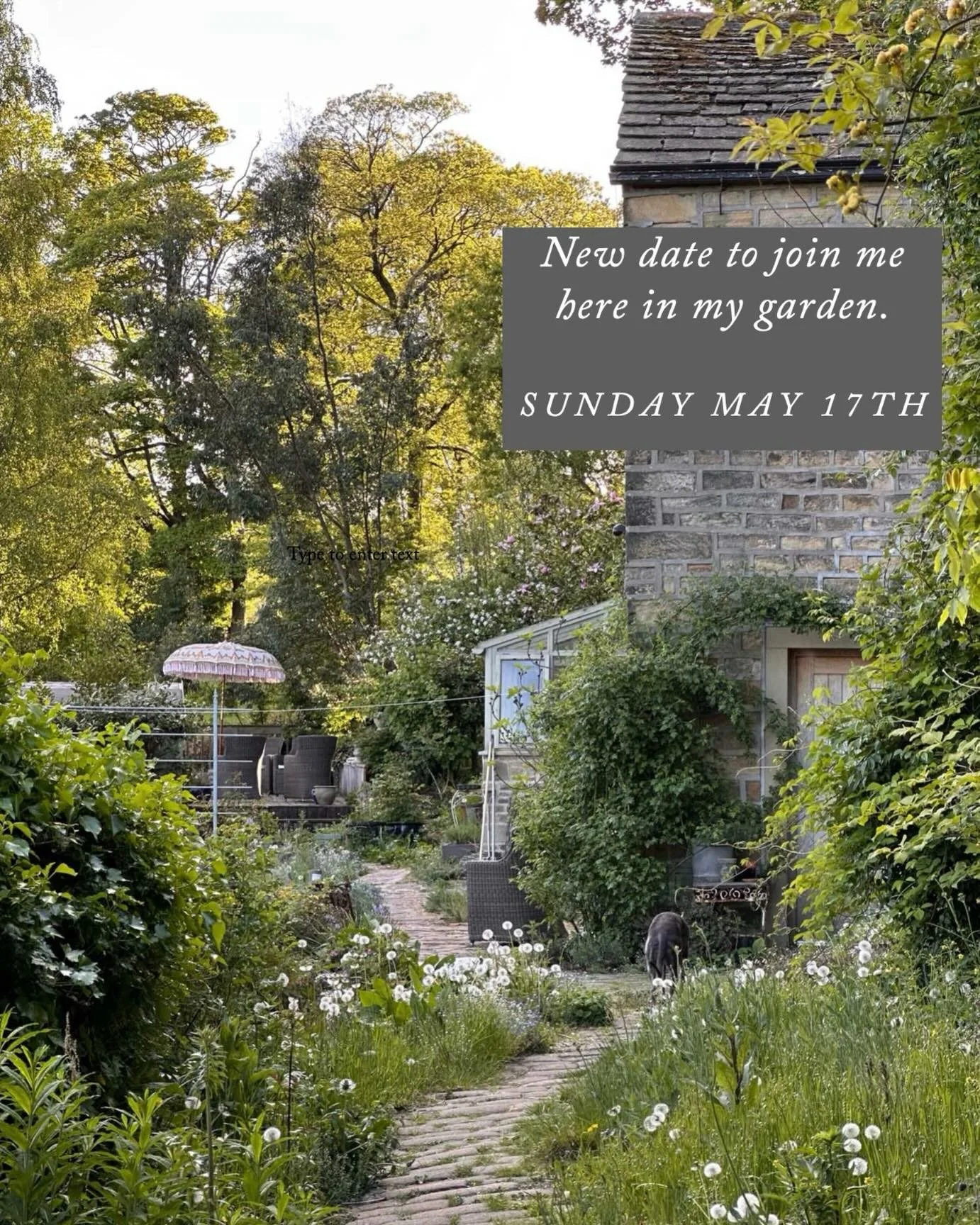 Since I&rsquo;ve started to totally rethink the way I tend my garden I&rsquo;ve come to realise just how controlling the whole &lsquo;old school&rsquo; gardening ethos is. Kill things, cut things, remove things, tidy, tidy tidy. It feels so antiquate