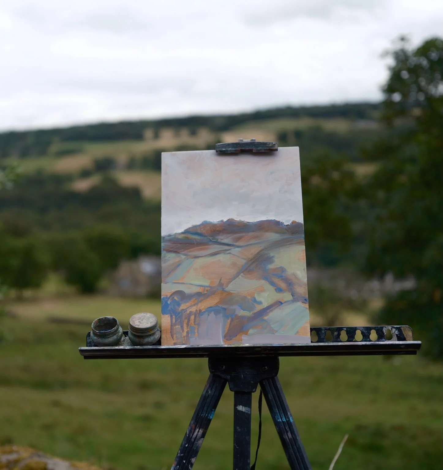 This week four artists visited to paint the garden and this is a little snapshot of their day here. What talent 🙌 And how lovely to see the different interpretations of the same place. Thank you all so much for coming. 
(I&rsquo;m not sure everyone 