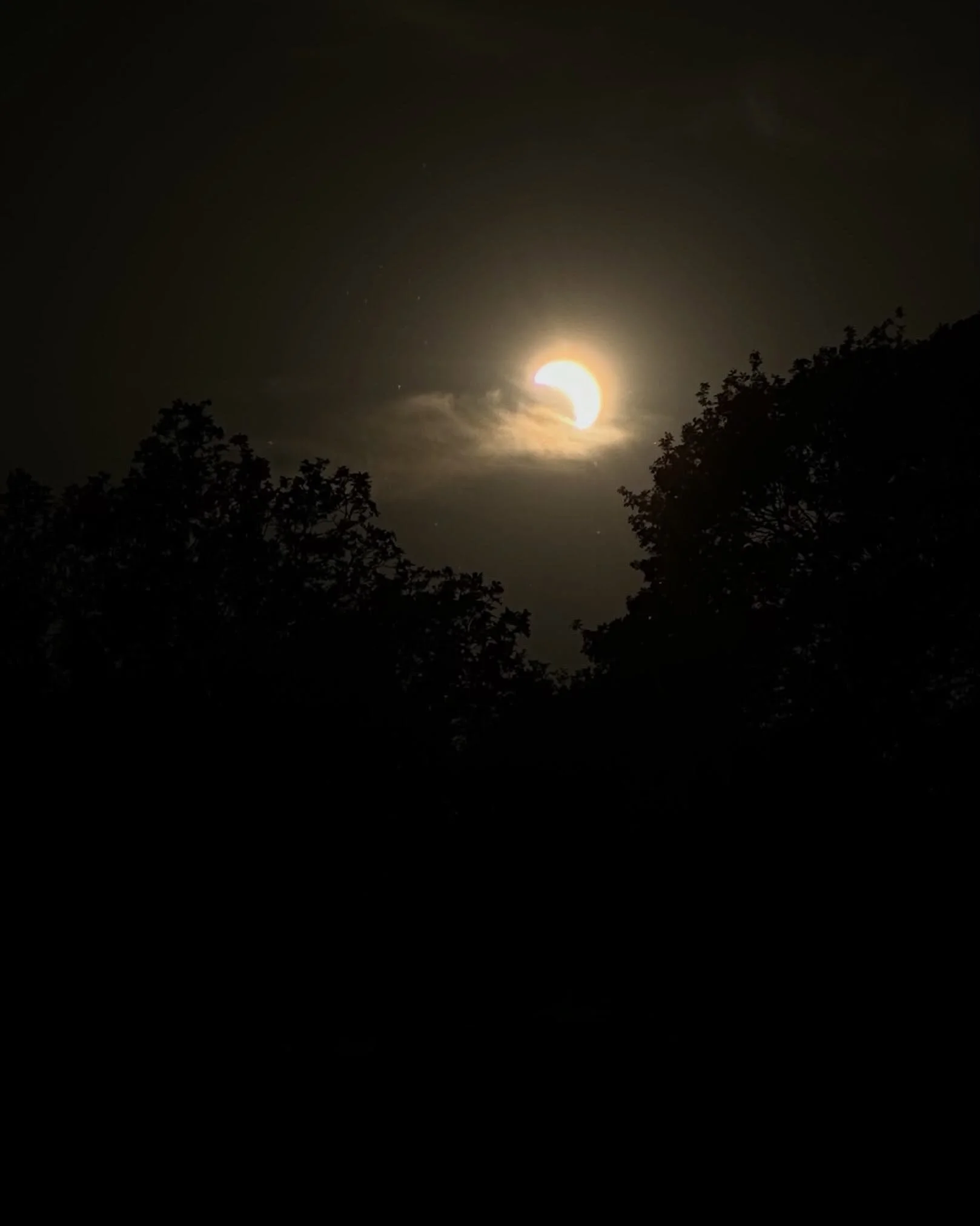 Eclipse moment with the phone - the eerie feeling and the light is actually more memorable than the reality of an eclipse without the glasses 😂. I tried a plate for the reflection (in 1999 I got a great view on a car bonnet) but the plate didn&rsquo