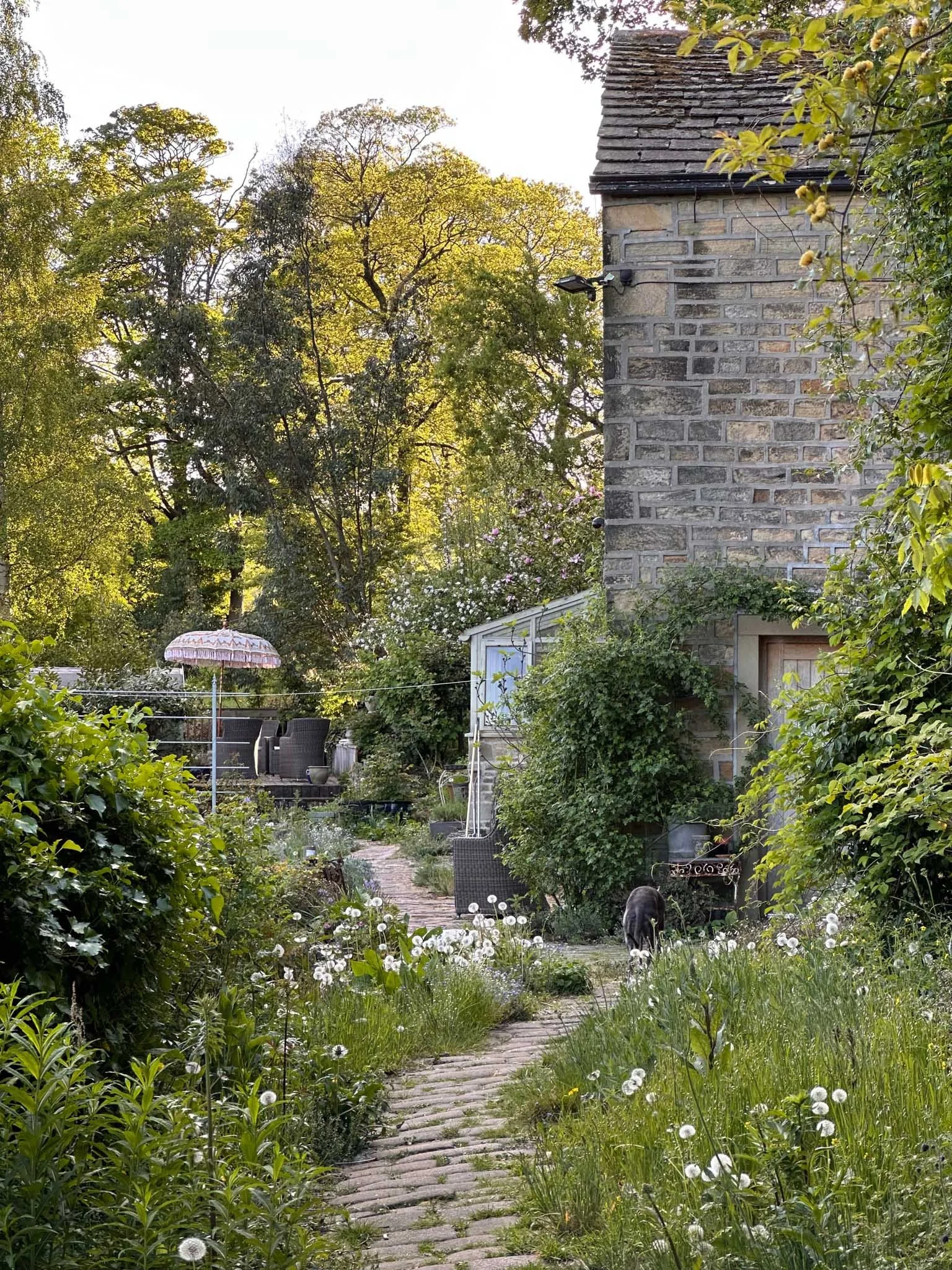 May garden gathering-6-2.jpg