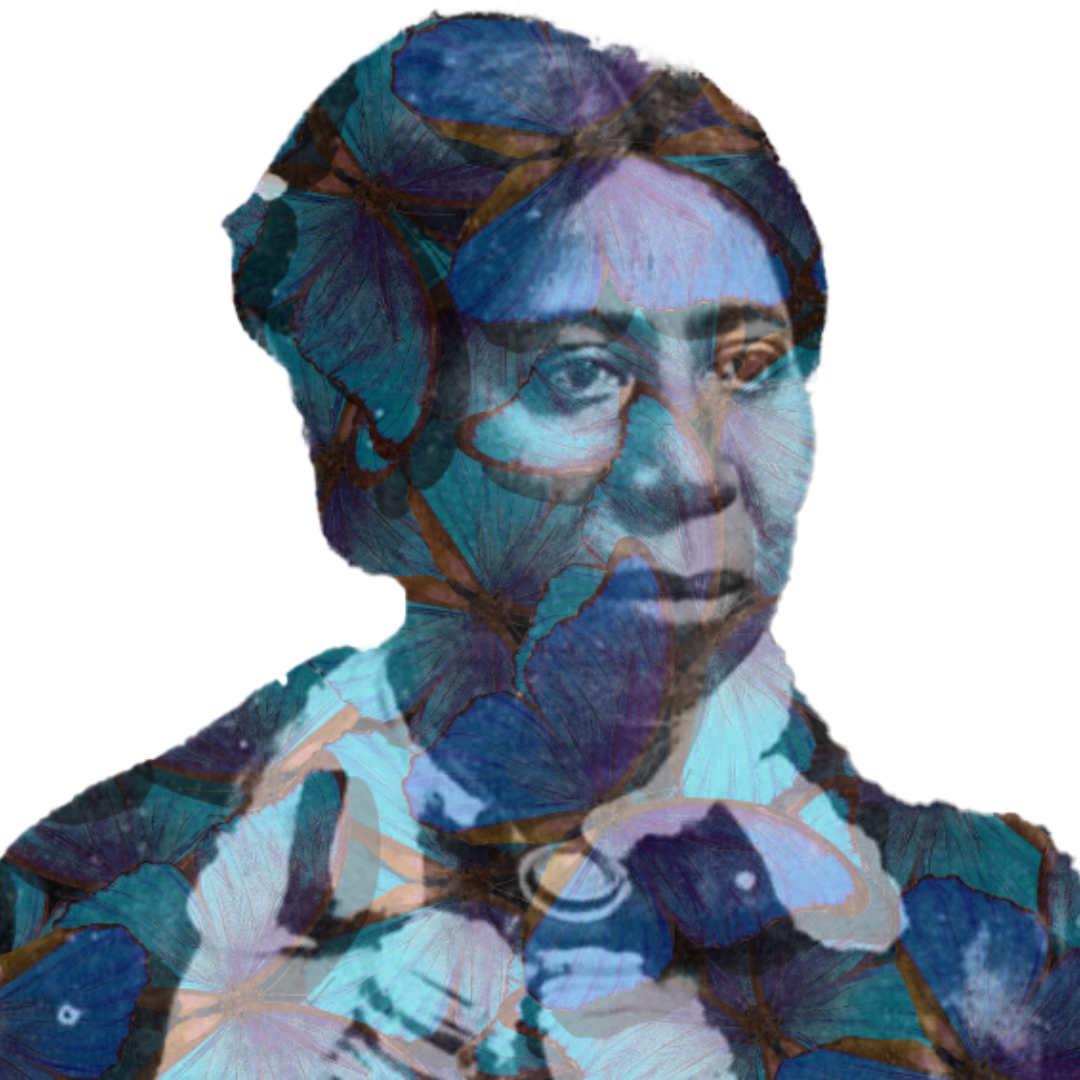 “Anna Murray Douglass and the Freedom Fighting Collective” (panel discussion)